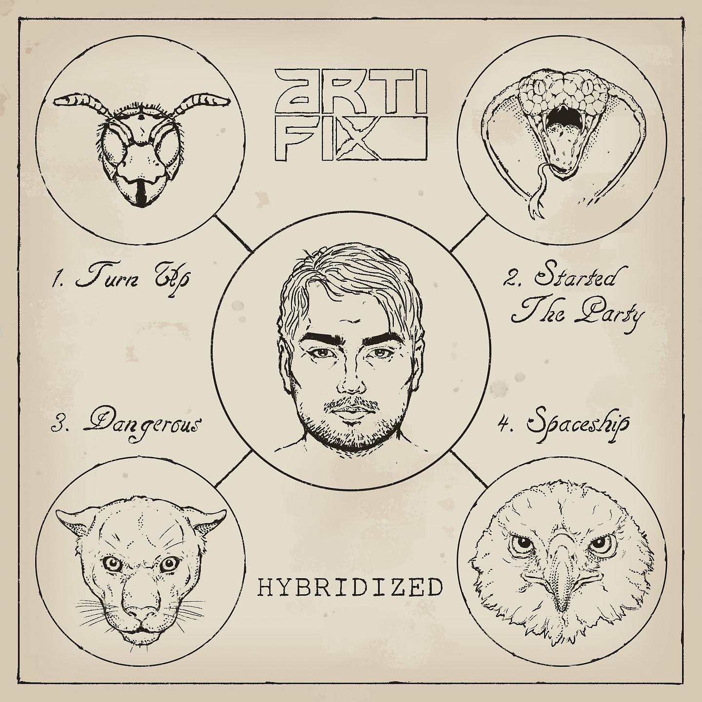 Постер альбома Hybridized