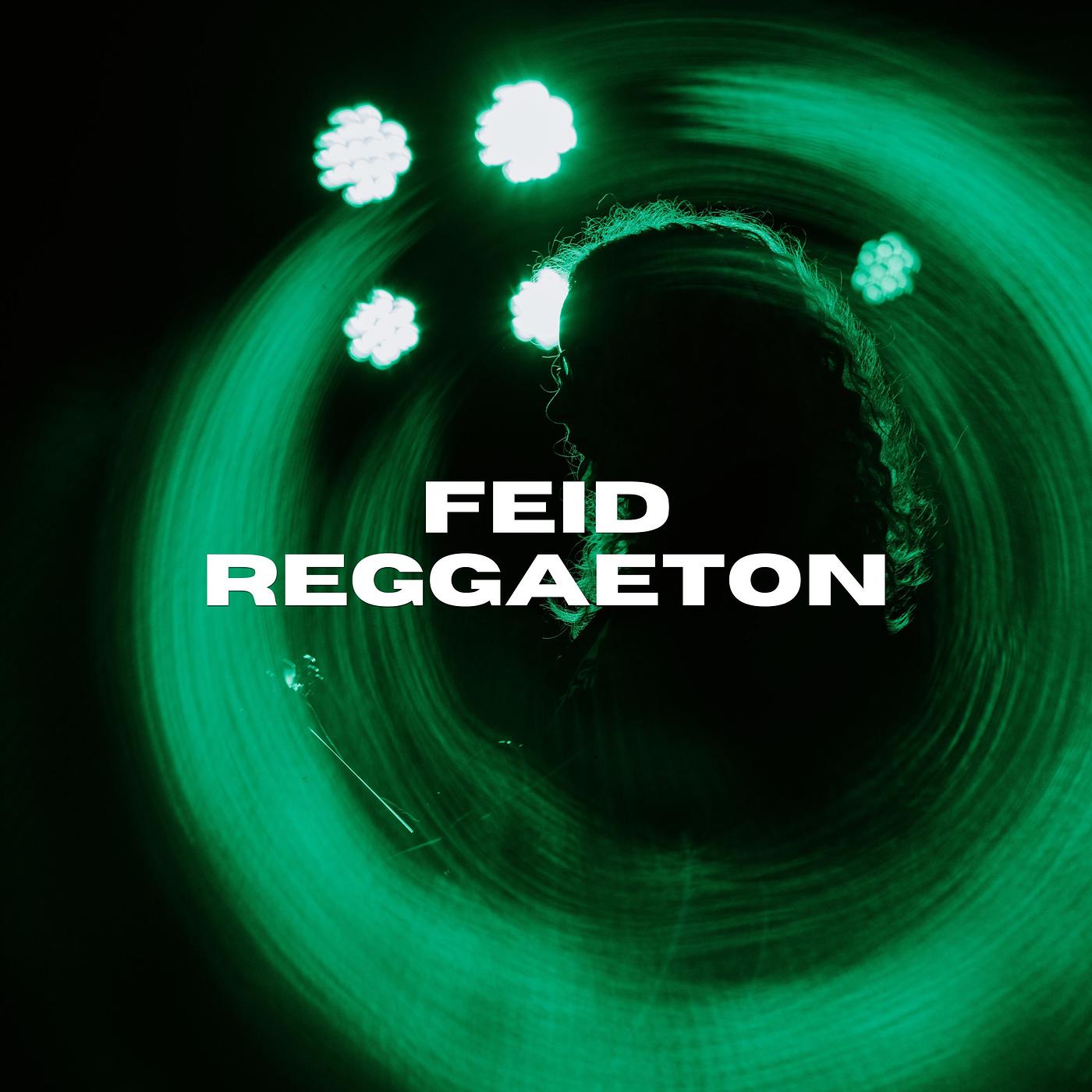 Постер альбома Feid Reggaeton