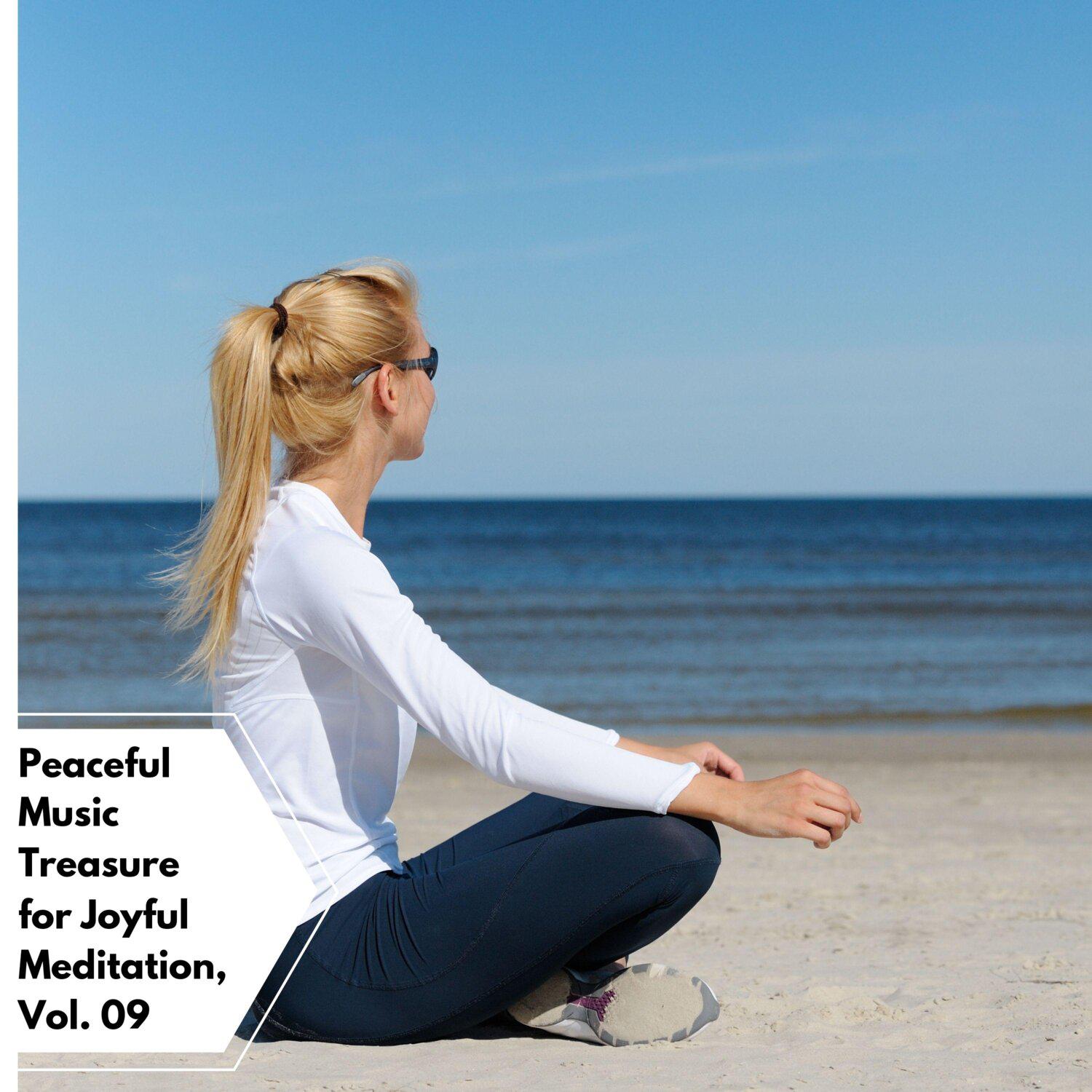 Постер альбома Peaceful Music Treasure for Joyful Meditation, Vol. 09