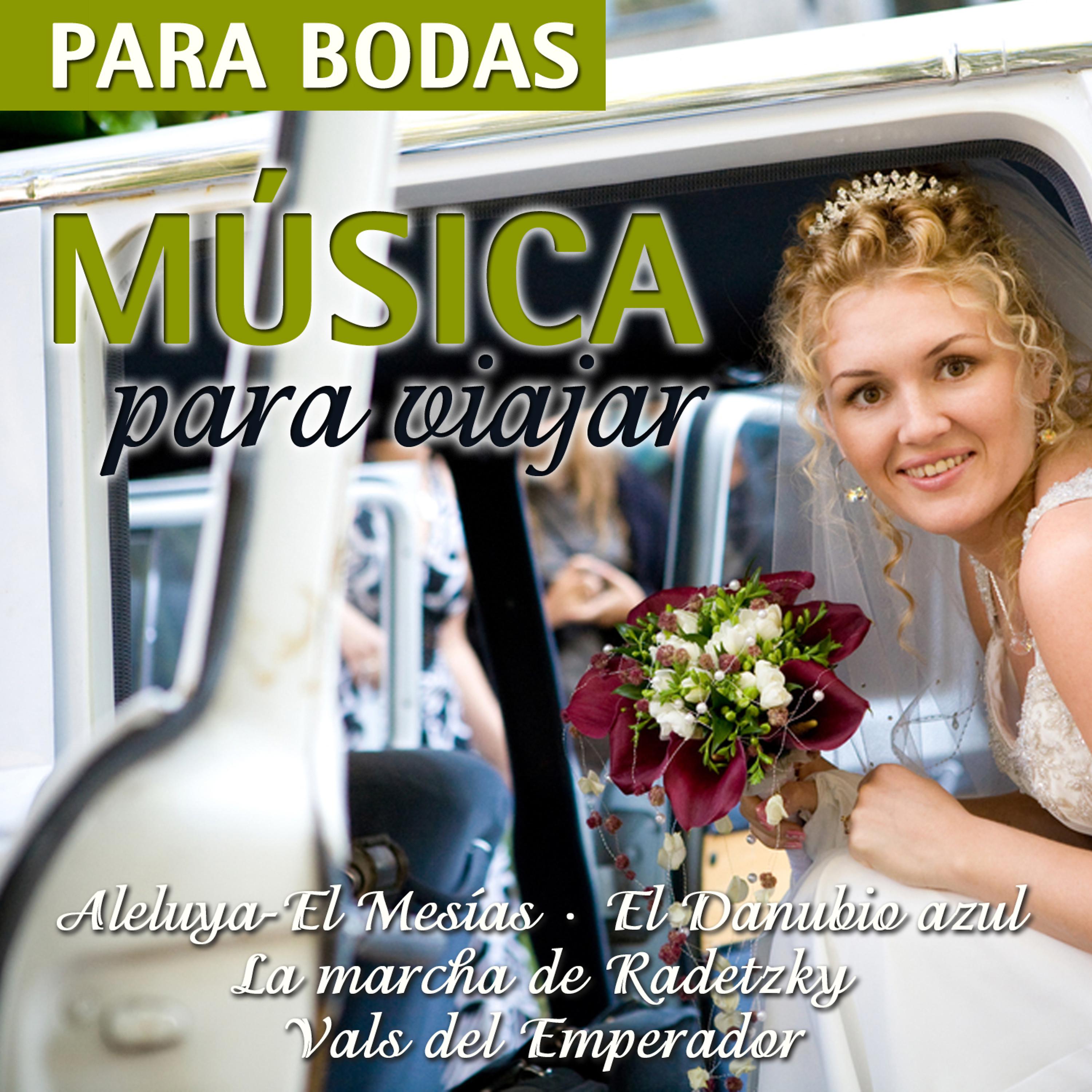 Постер альбома Música Para Viajar-Para Bodas
