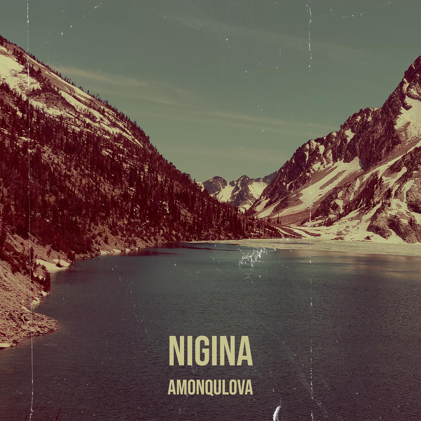 Постер альбома Nigina