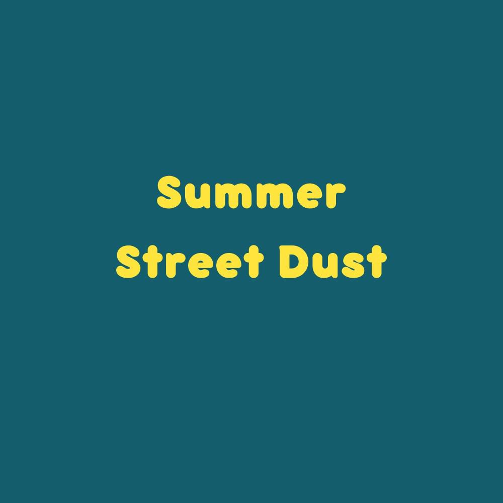 Постер альбома Summer Street Dust