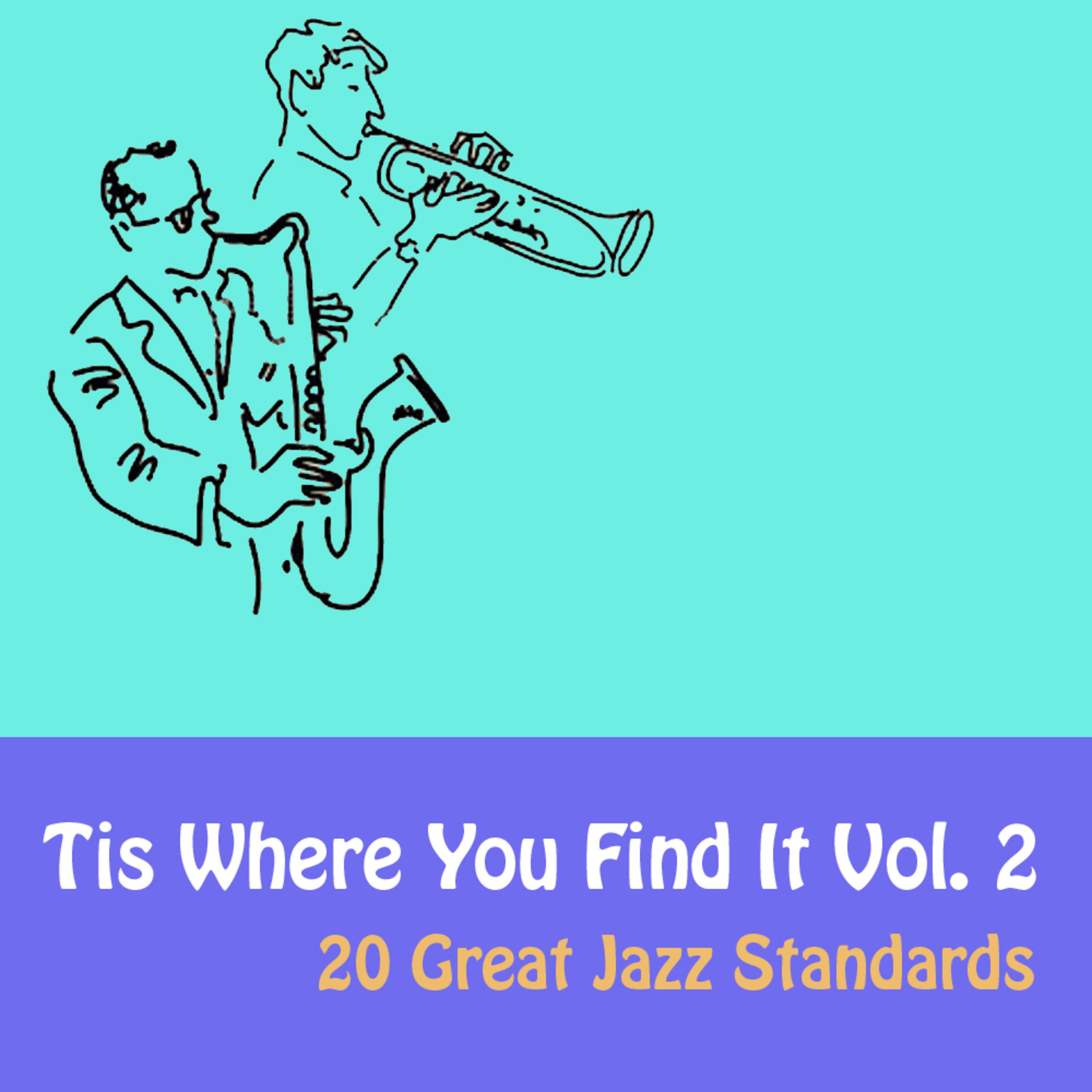 Постер альбома Tis Where You Find It Vol. 2 (20 Great Jazz Standards)