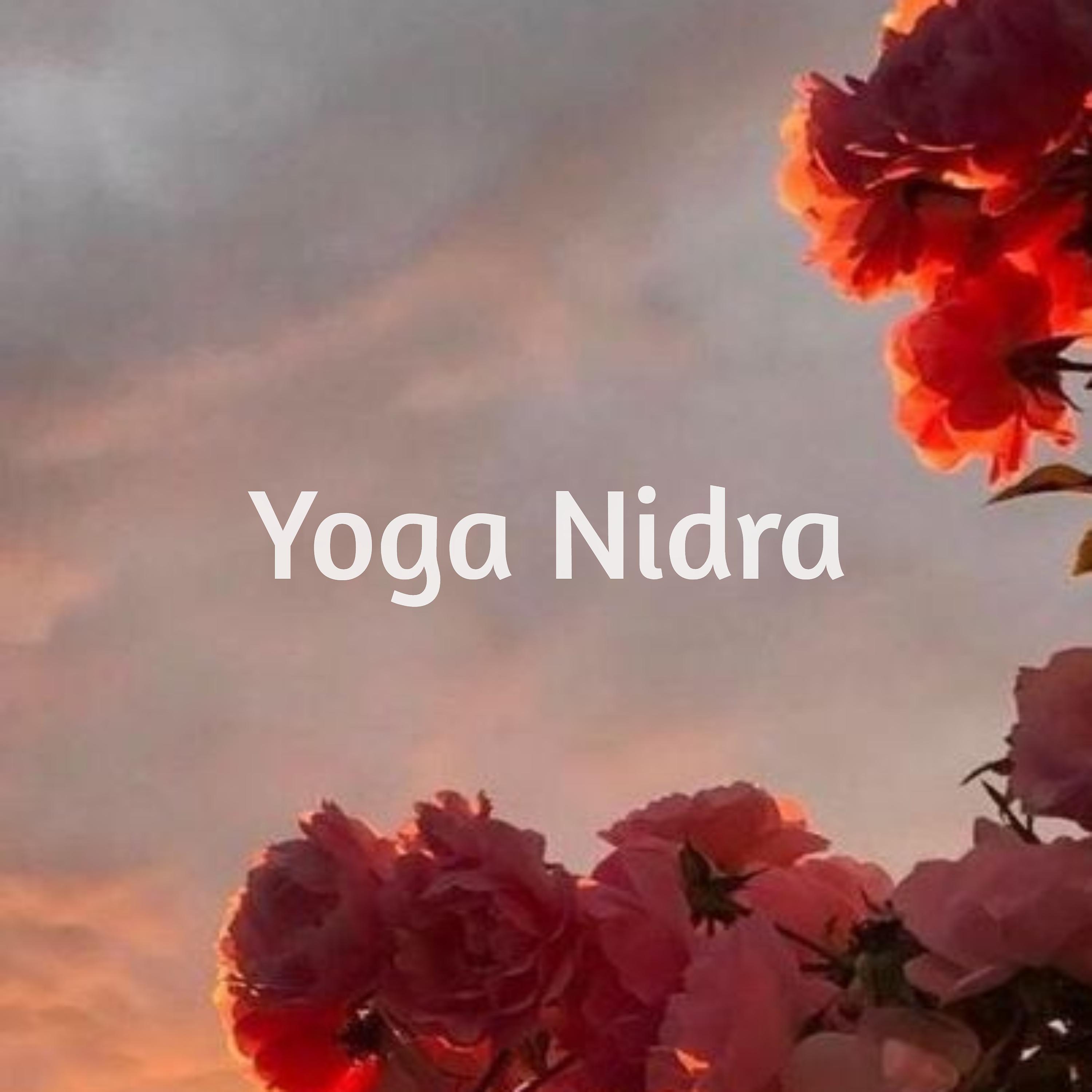 Постер альбома Yoga Nidra