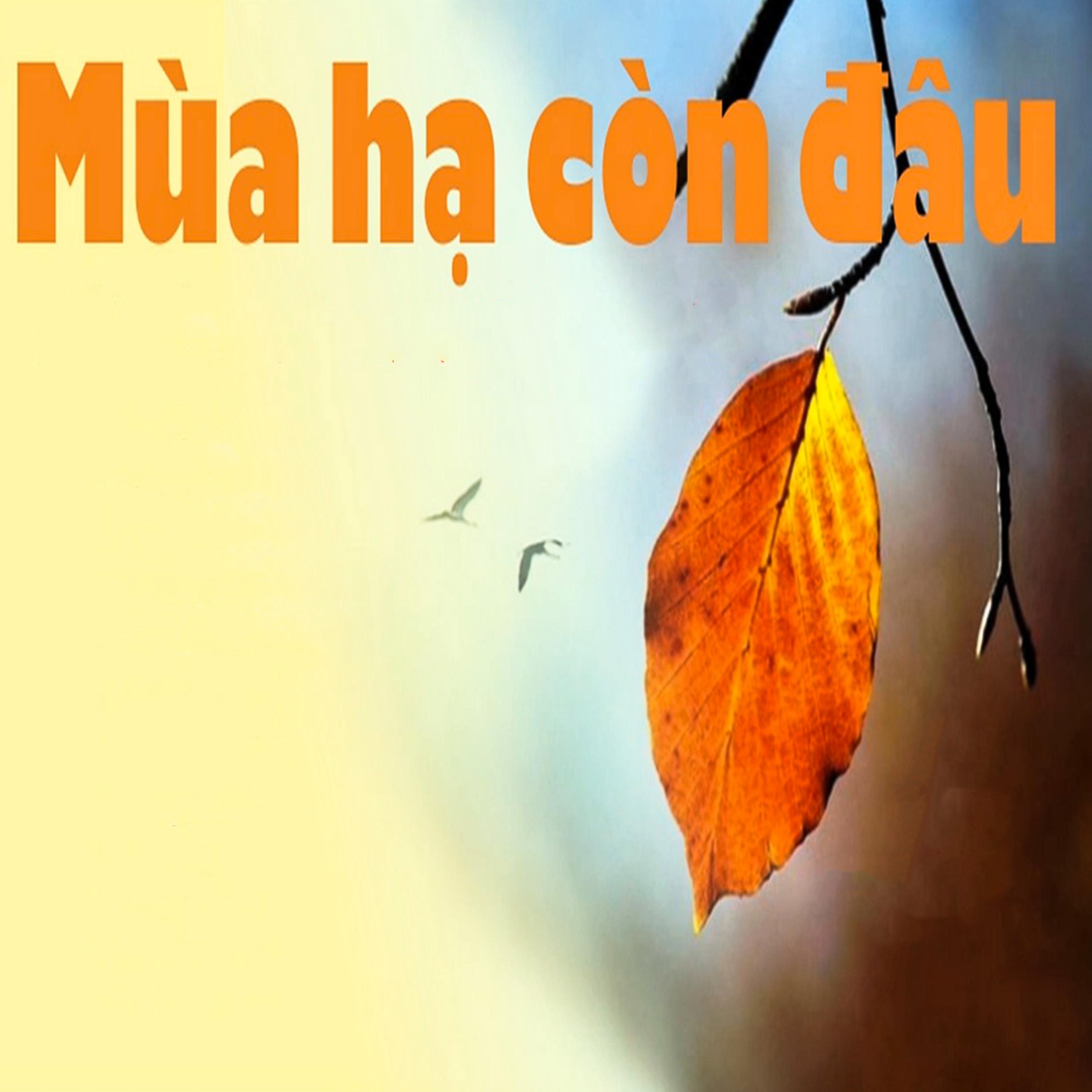 Постер альбома Mùa Hạ Còn Đâu