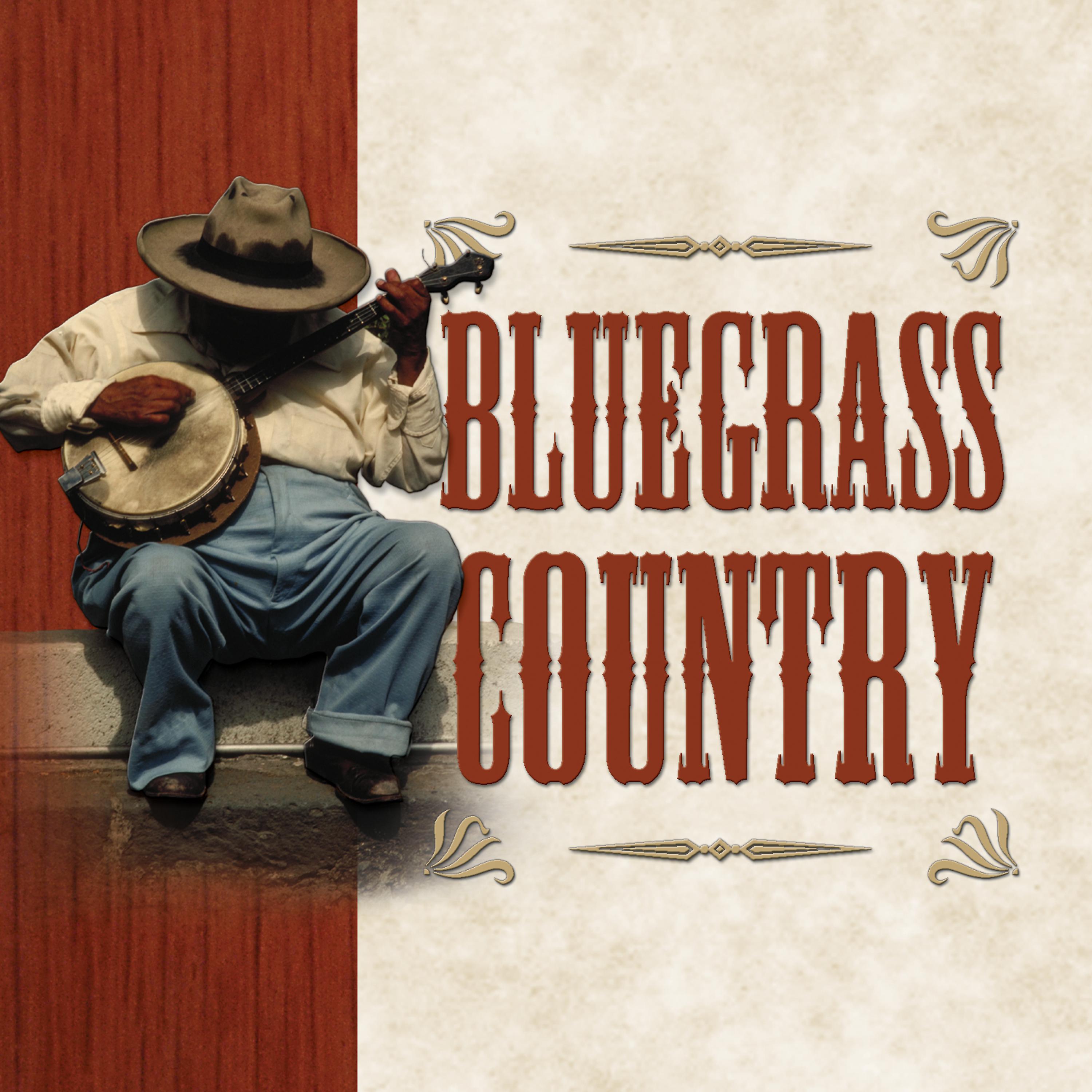 Постер альбома Bluegrass Country