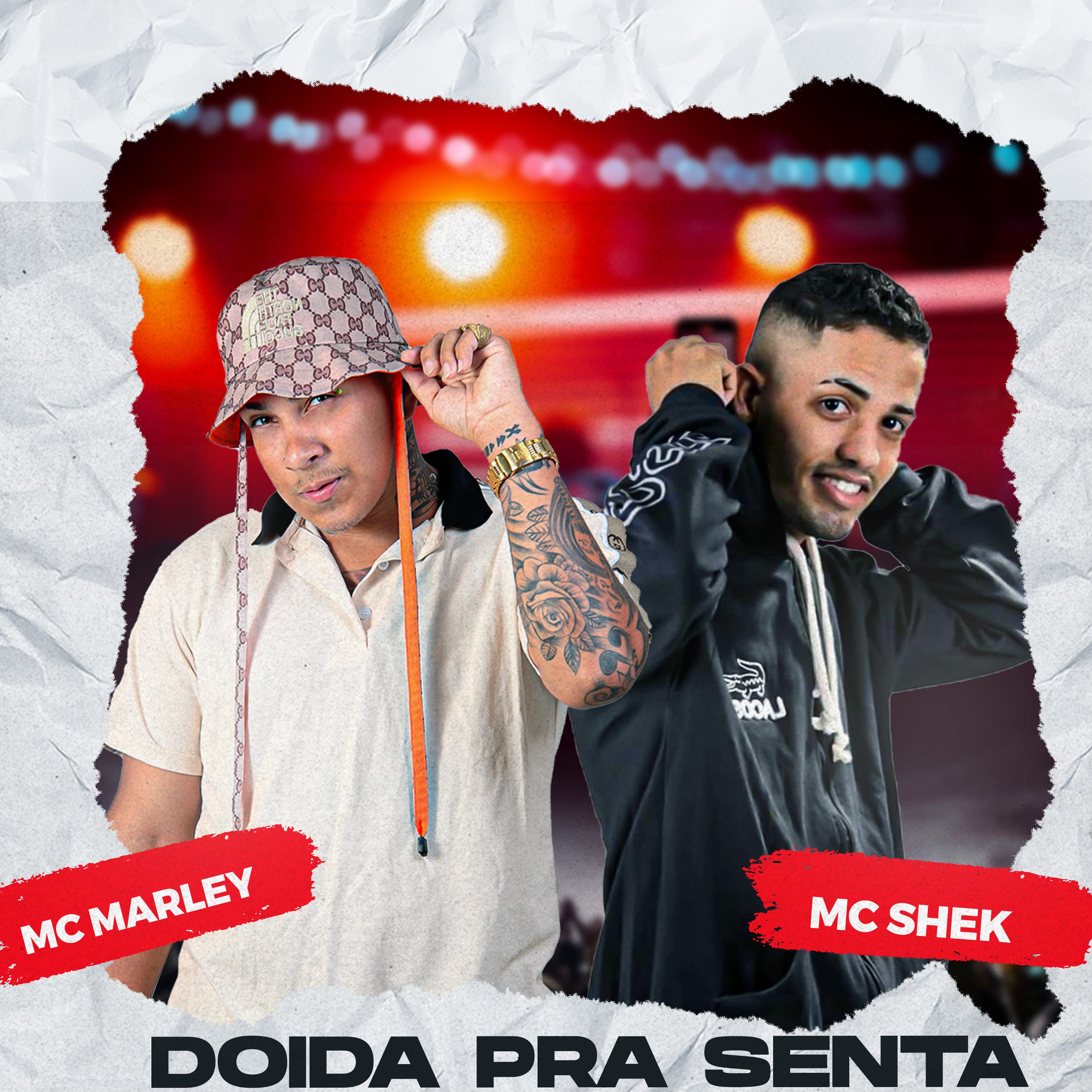 Постер альбома Doida pra Senta