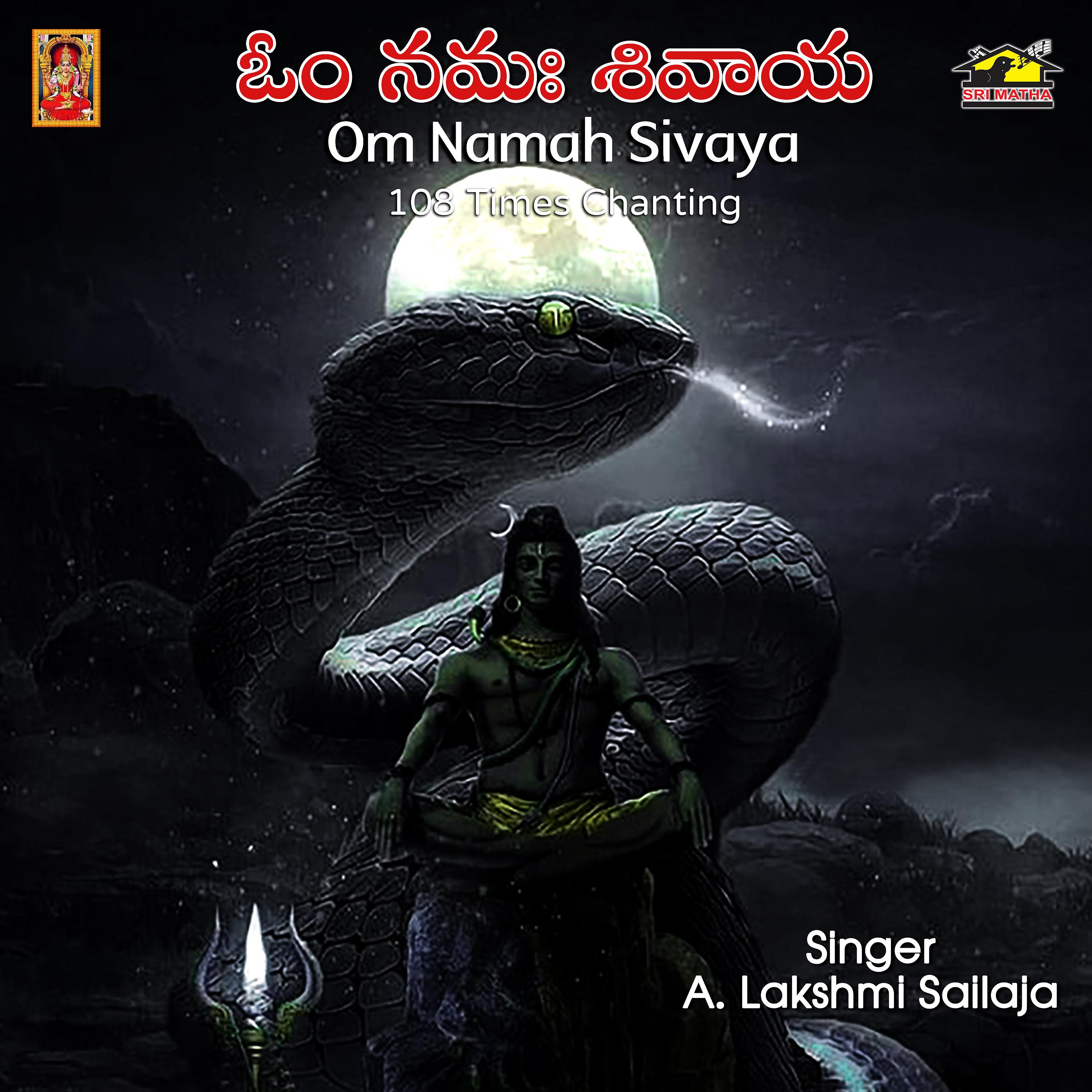 Постер альбома Om Namah Sivaya