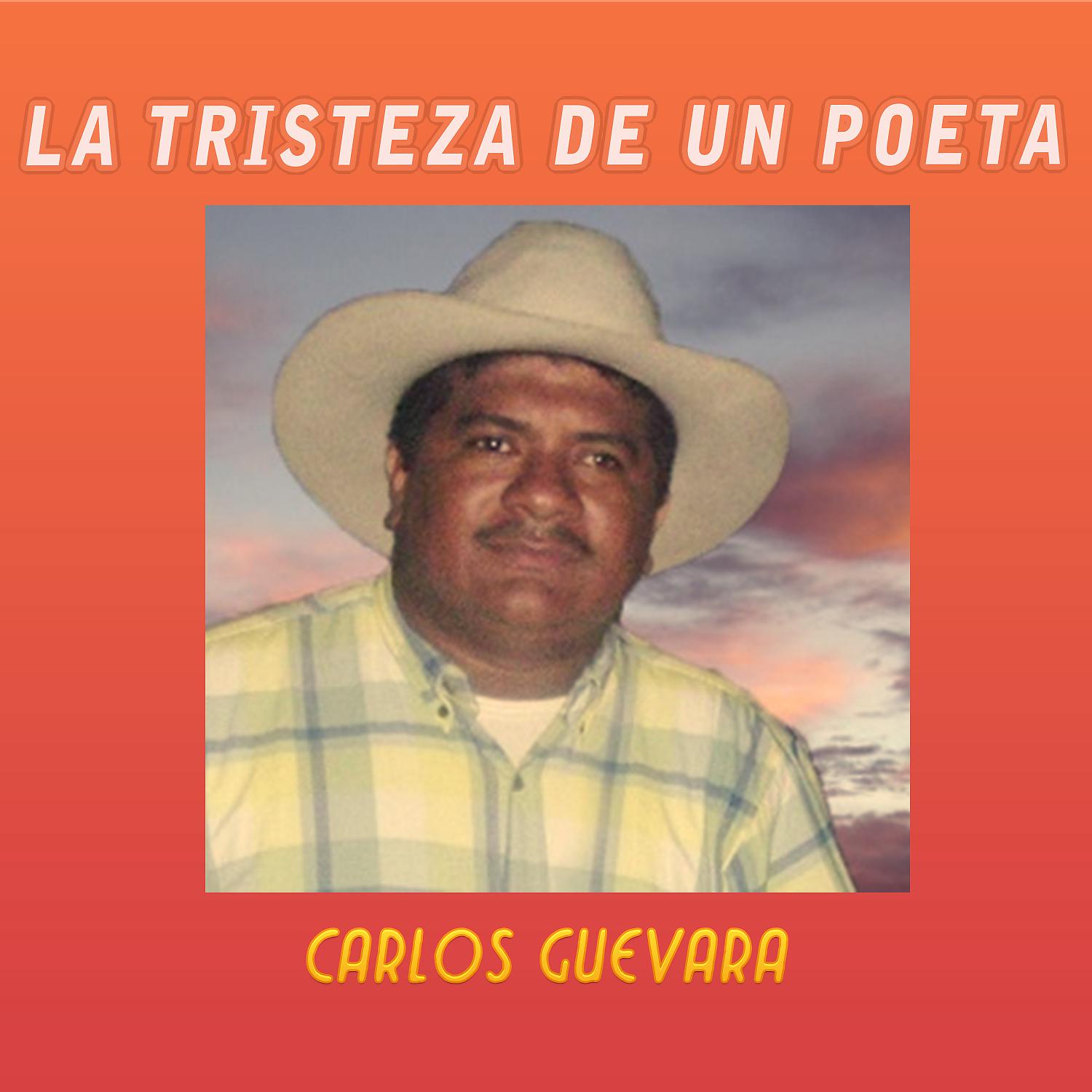 Постер альбома La Tristeza De Un Poeta