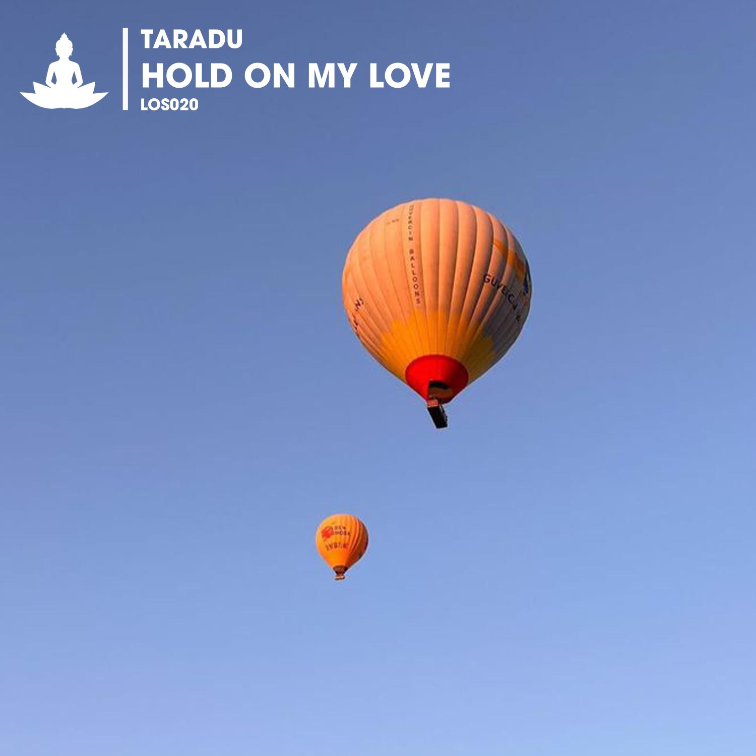 Постер альбома Hold on My Love