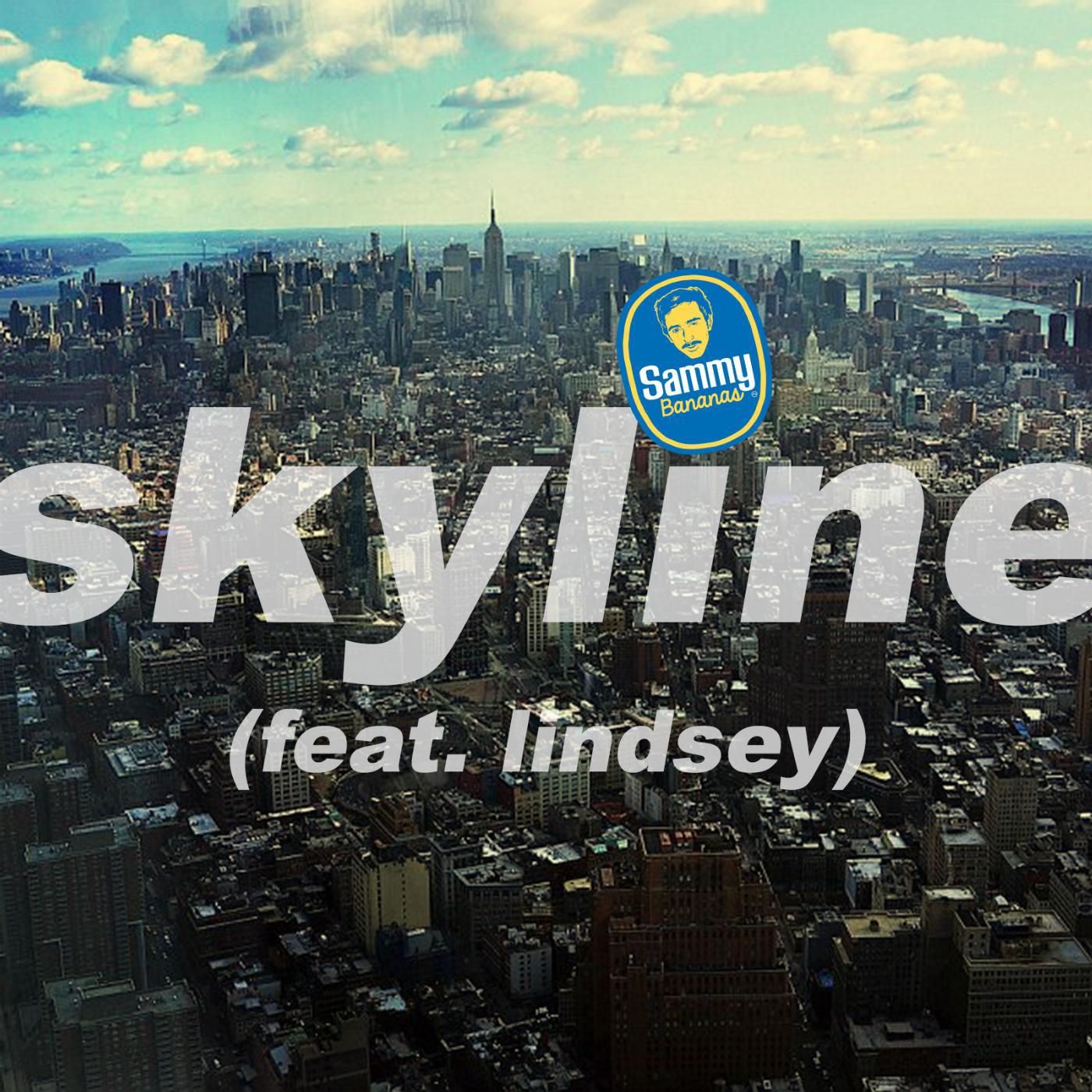 Постер альбома Skyline (feat. Lindsey)