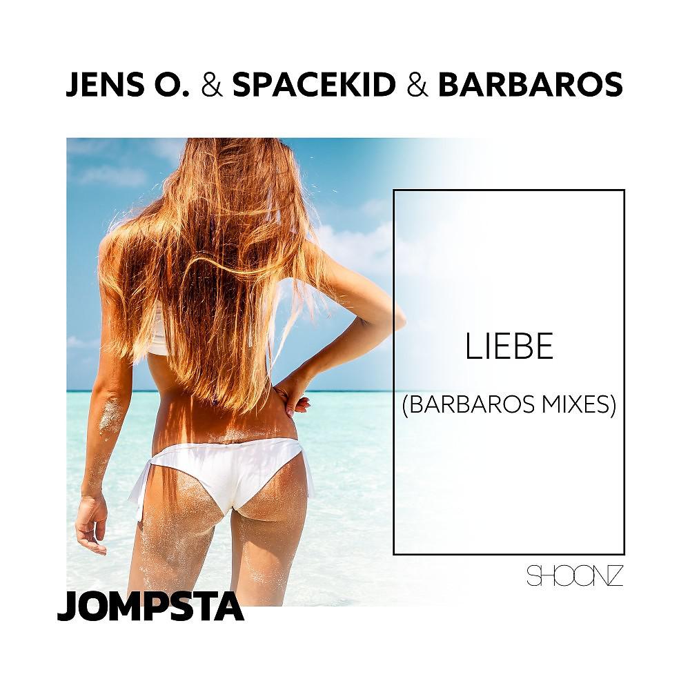 Постер альбома Liebe (Barbaros Mixes)
