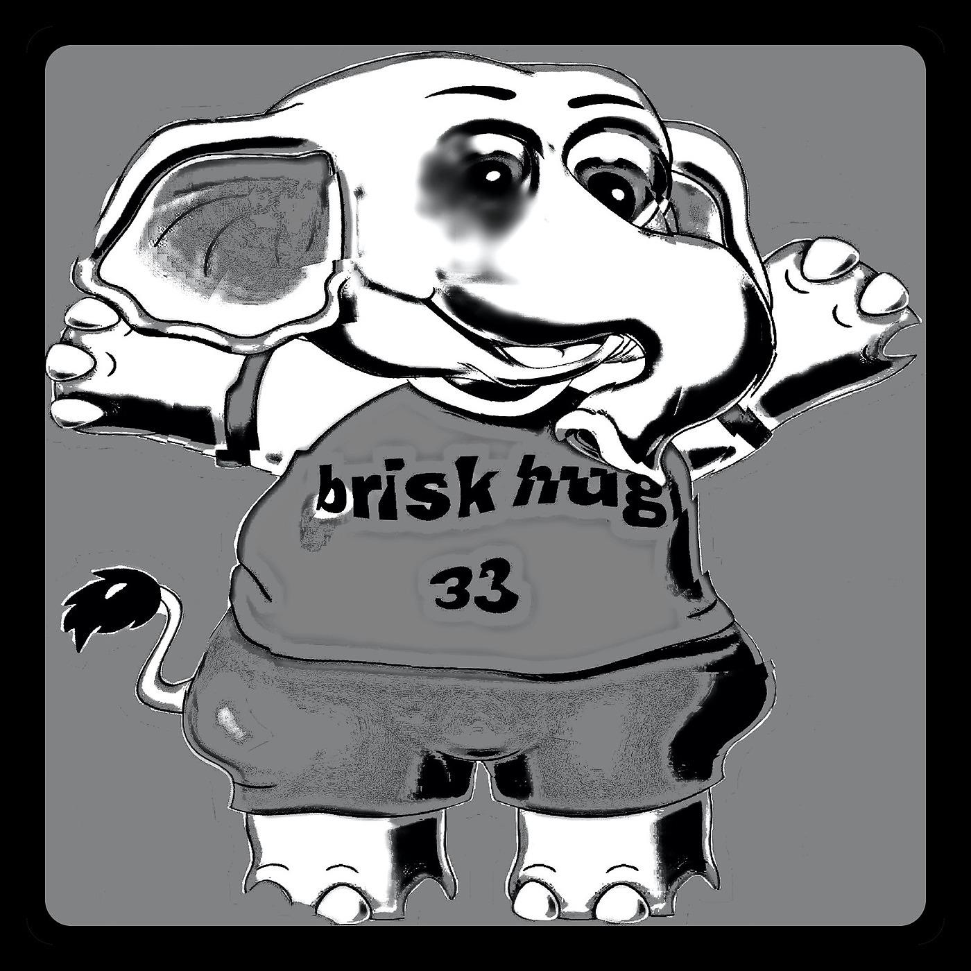 Постер альбома Brisk Hug 33