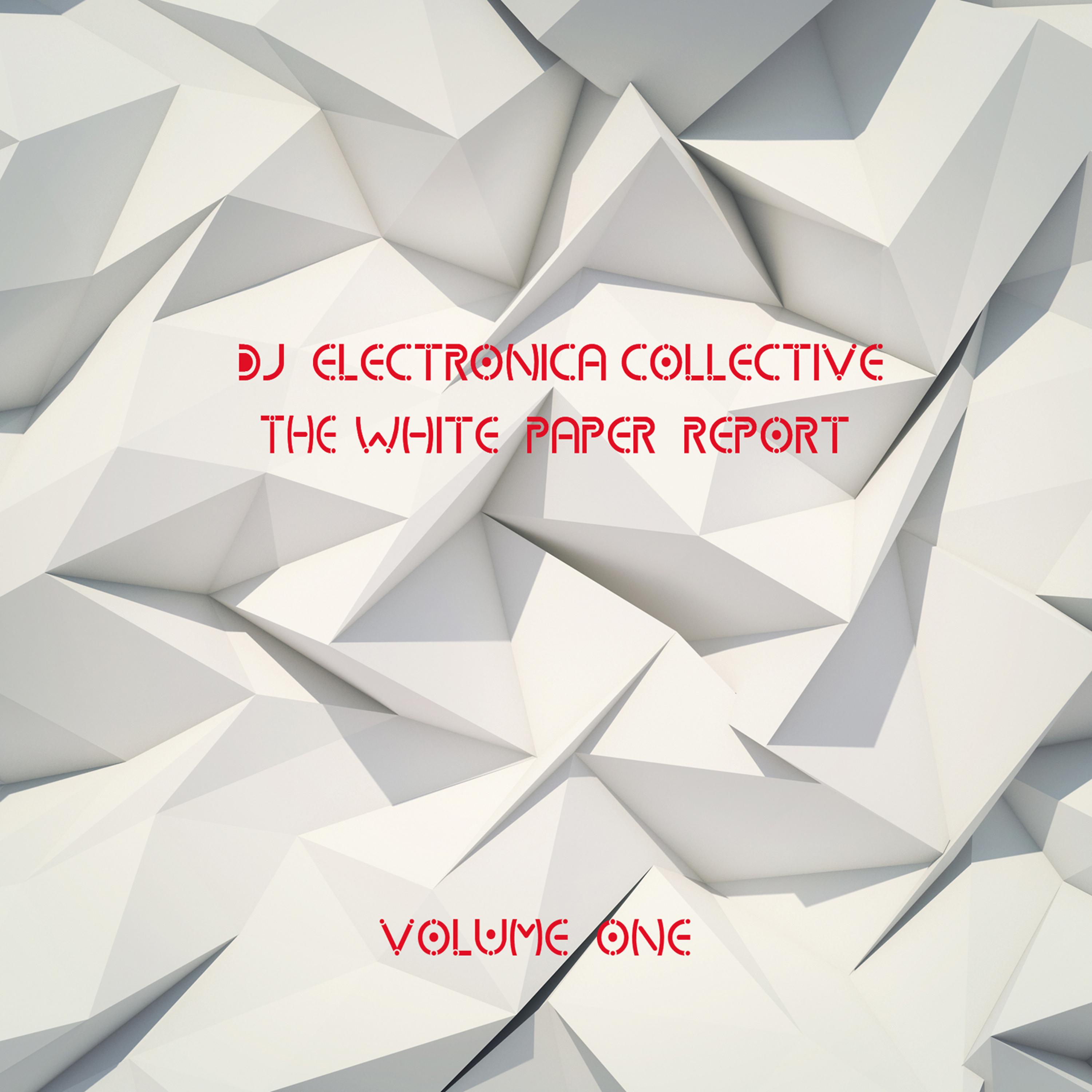 Постер альбома DJ Electronica Collective: The White Paper, Vol. 1