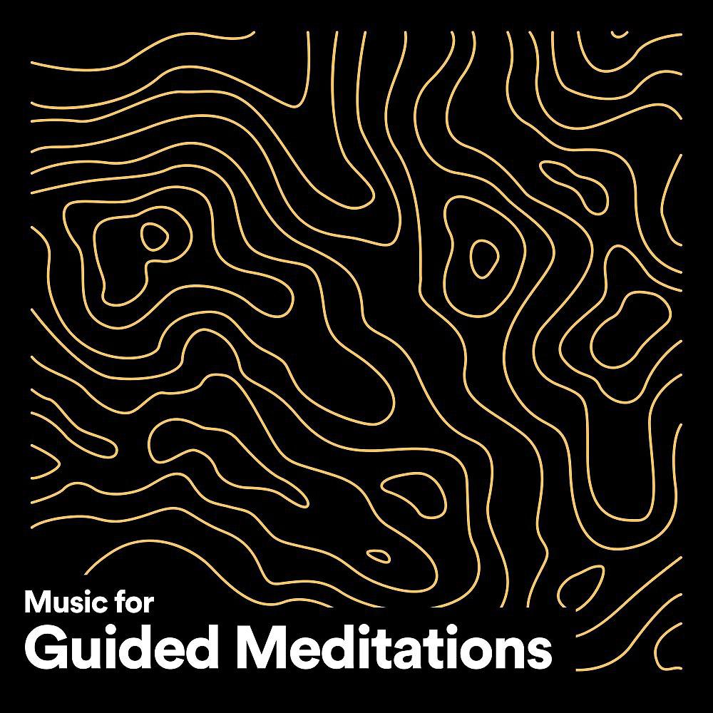 Постер альбома Music for Guided Meditations