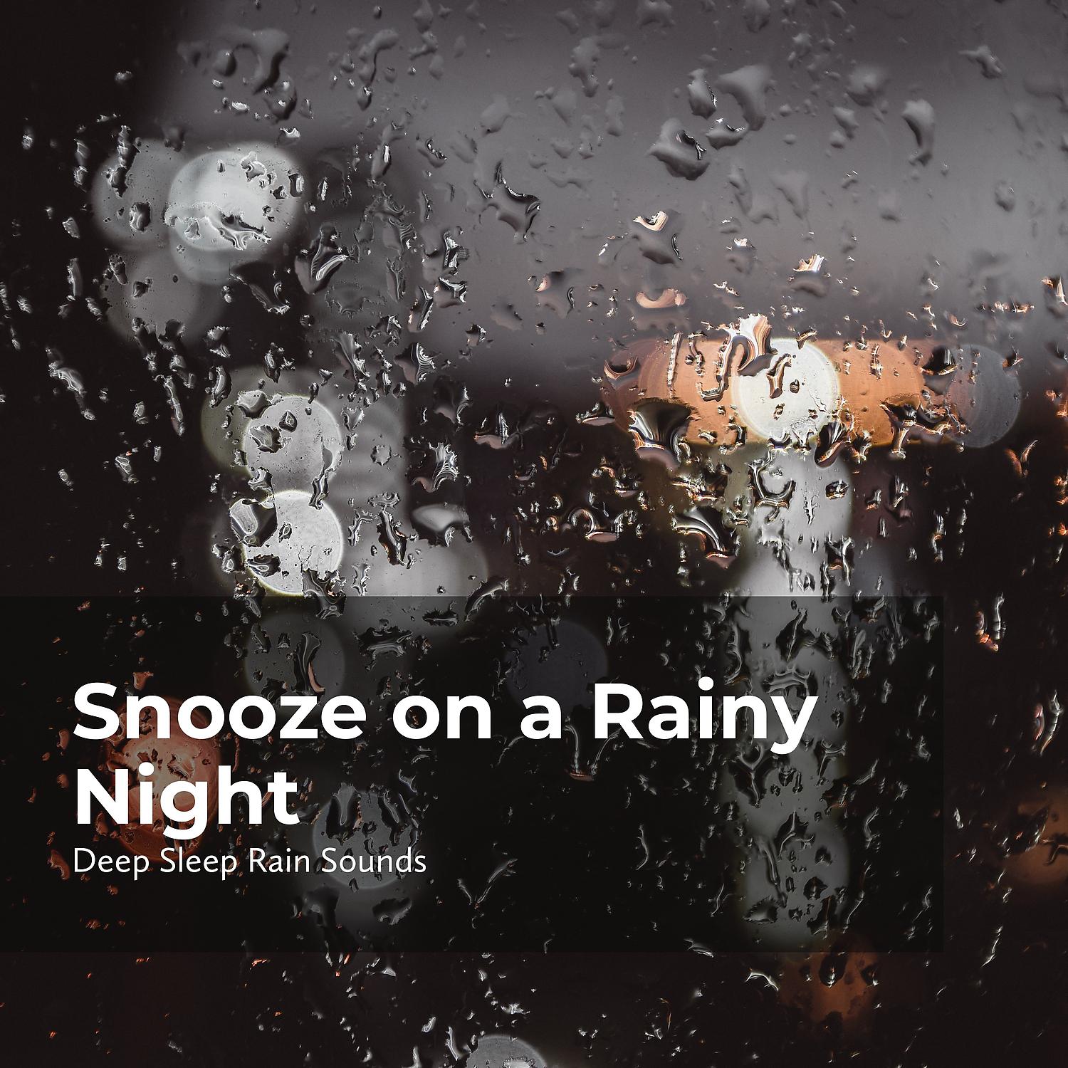 Постер альбома Snooze on a Rainy Night