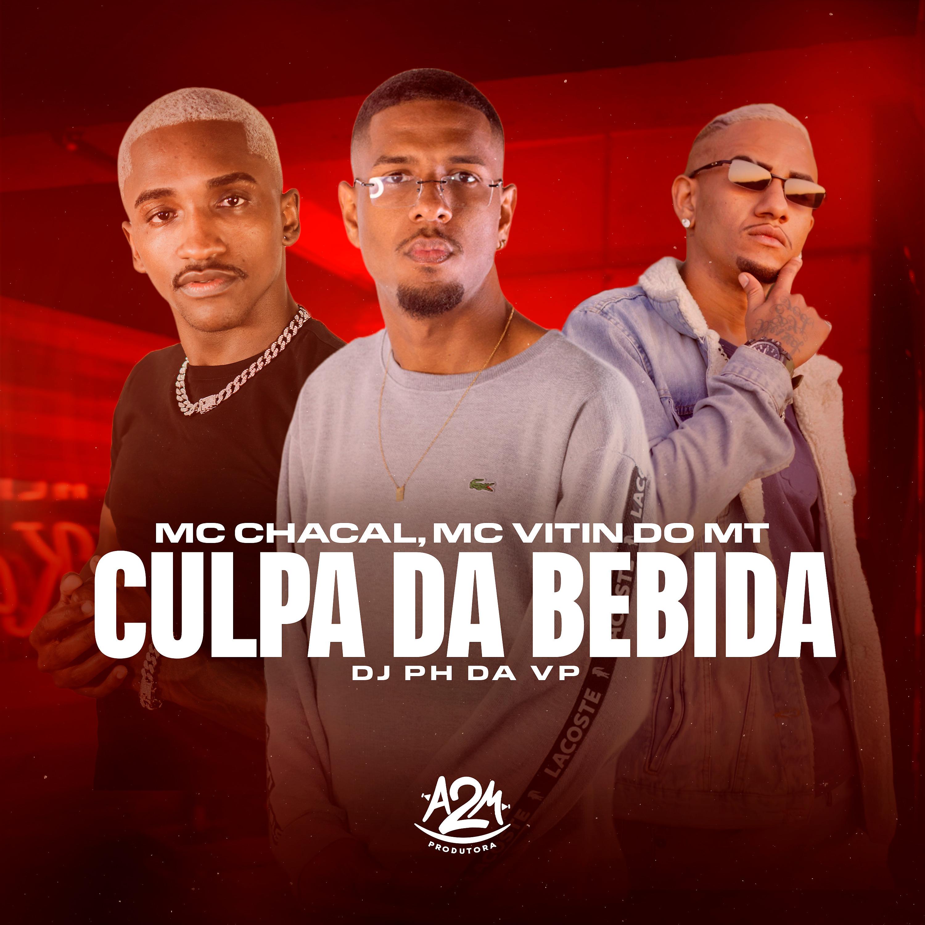 Постер альбома Culpa da Bebida
