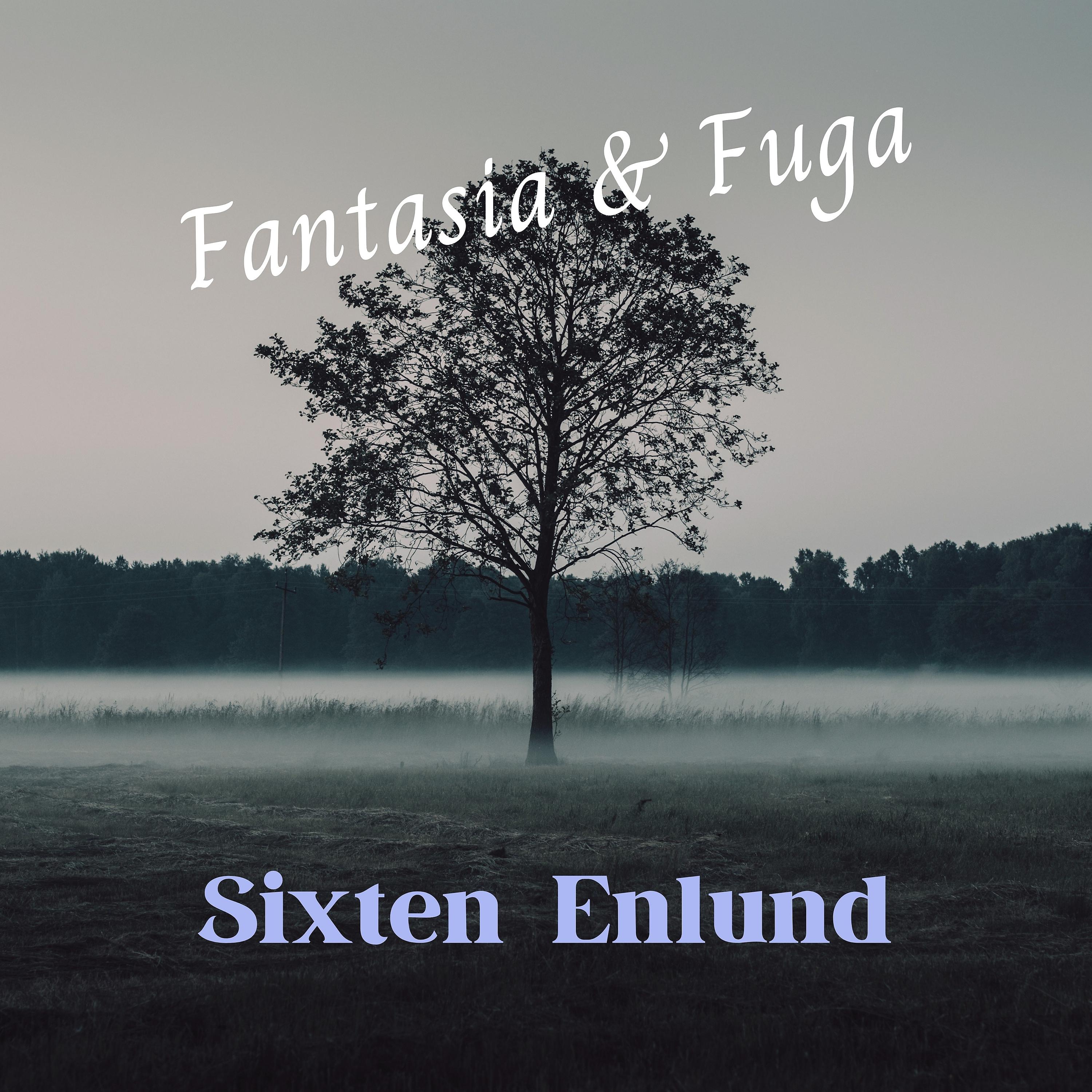 Постер альбома Fantasia & Fuga