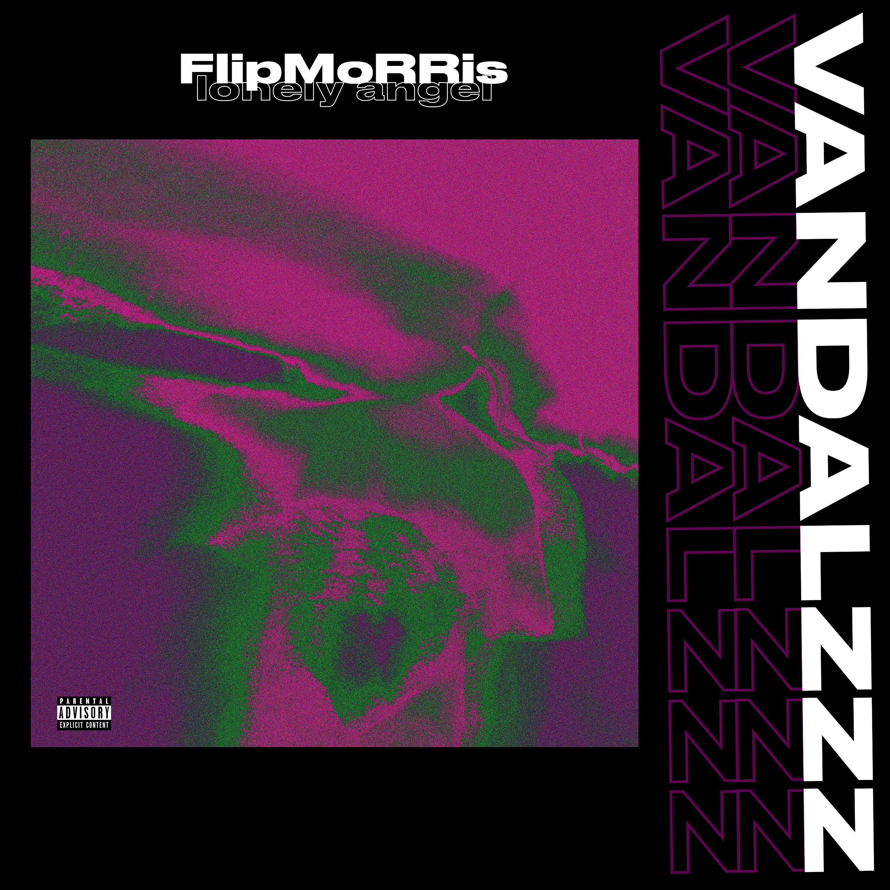Постер альбома Vandalzzz