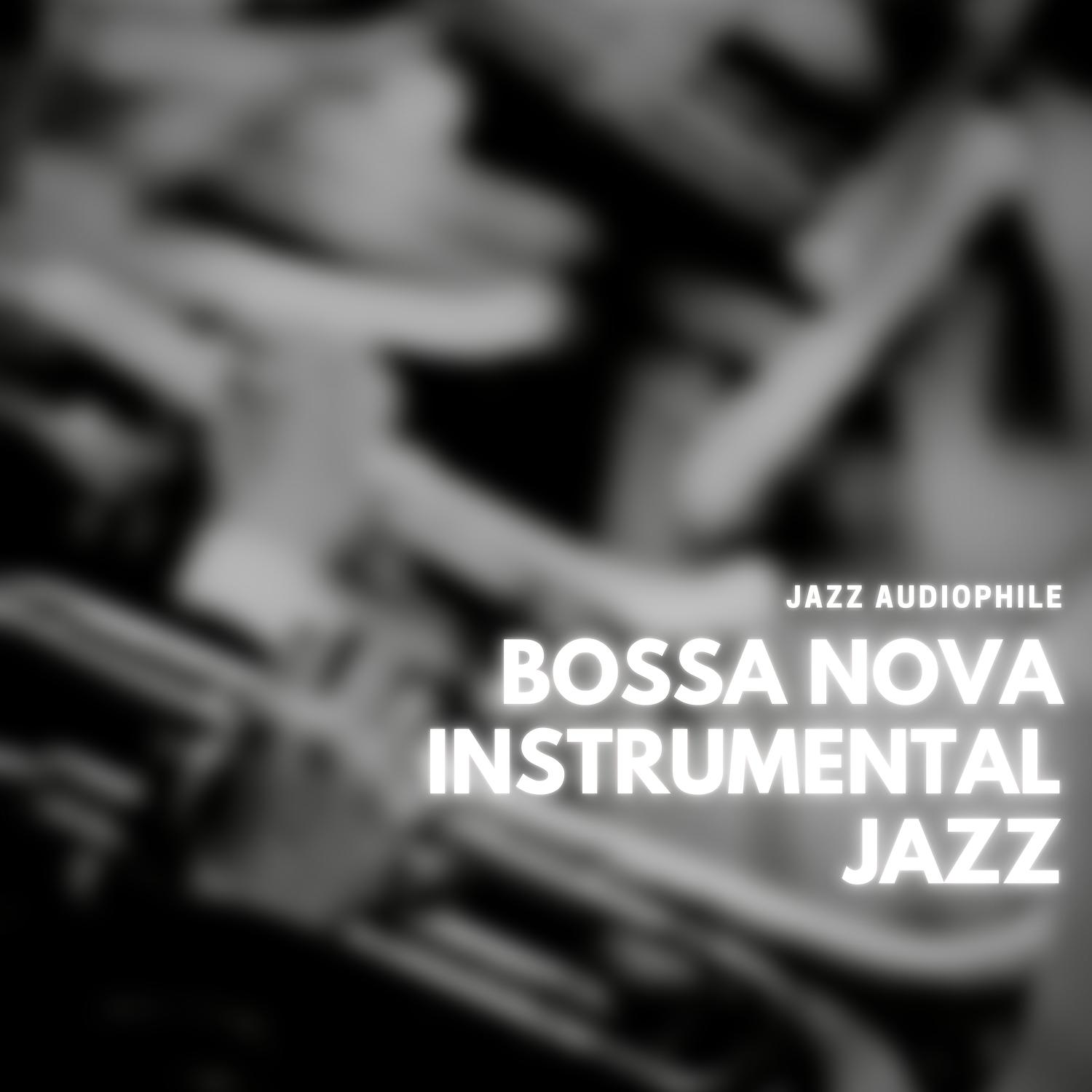 Постер альбома Bossa Nova Instrumental Jazz