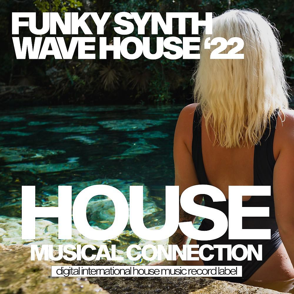 Постер альбома Funky Synthwave House 2022