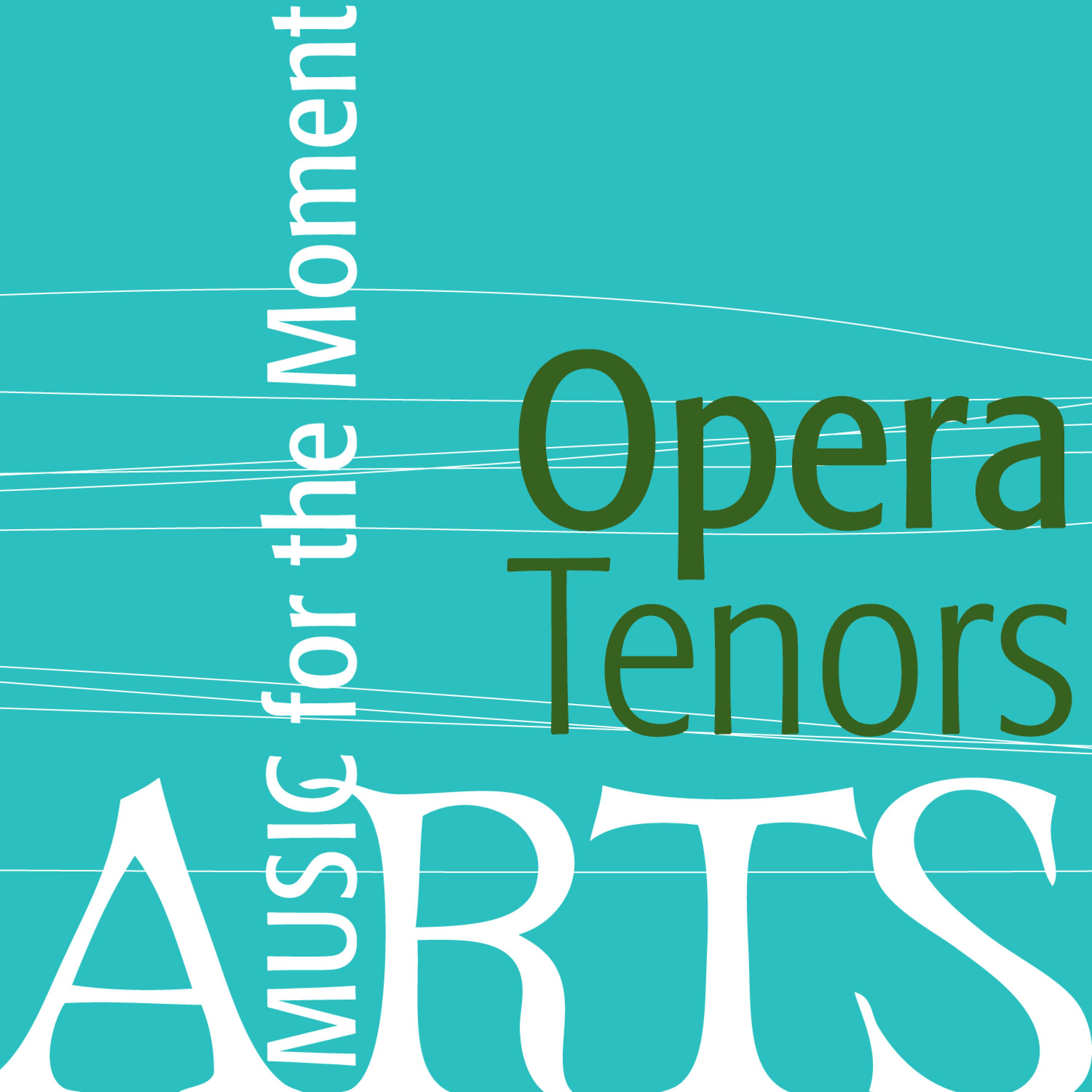 Постер альбома Music For The Moment: Opera Tenors