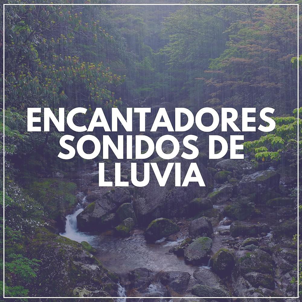 Постер альбома Encantadores Sonidos de Lluvia