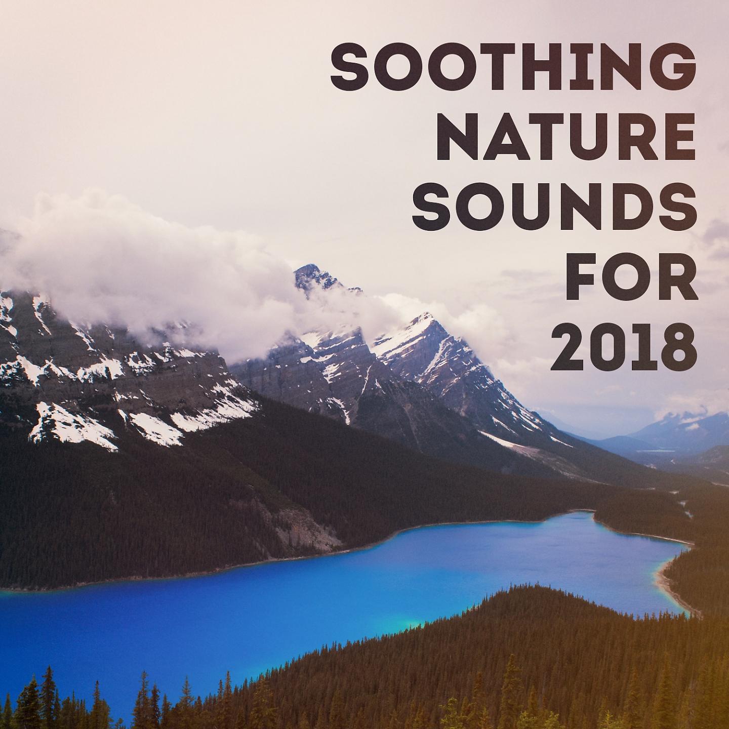 Постер альбома Soothing nature sounds for 2018