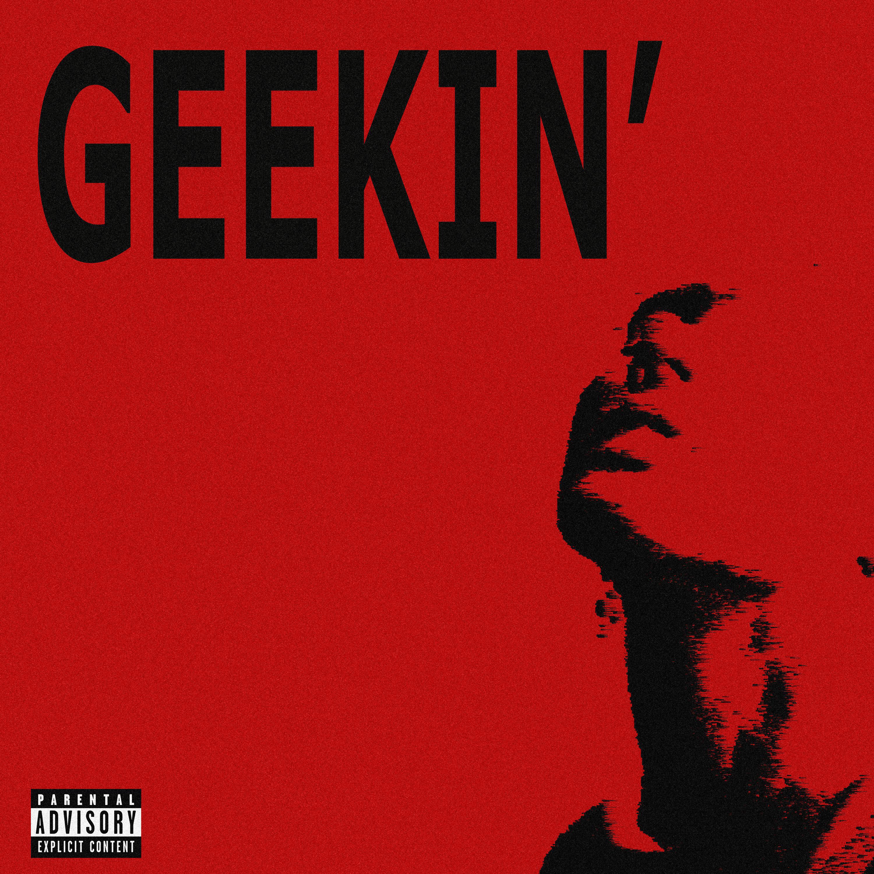 Постер альбома GEEKIN'