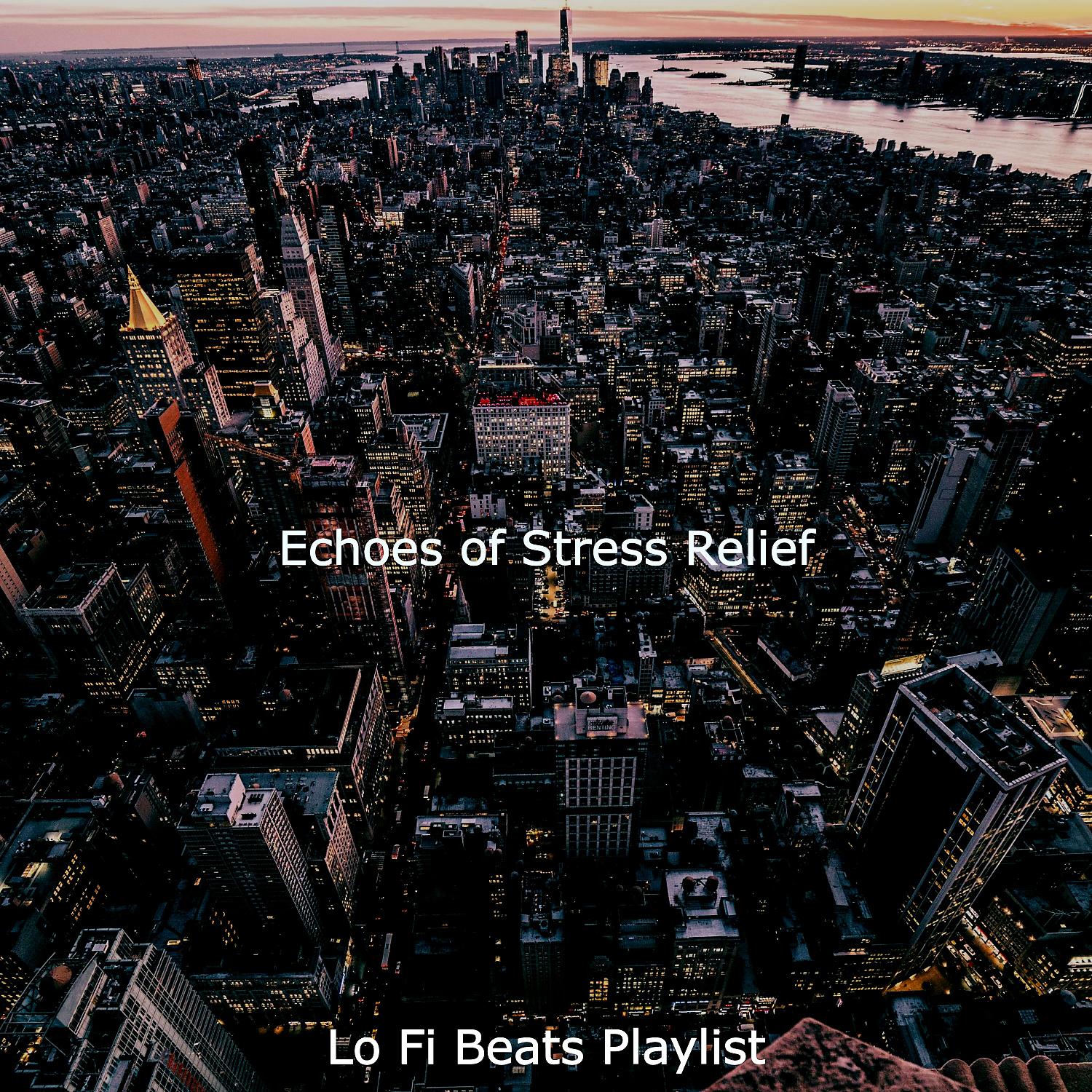 Постер альбома Echoes of Stress Relief