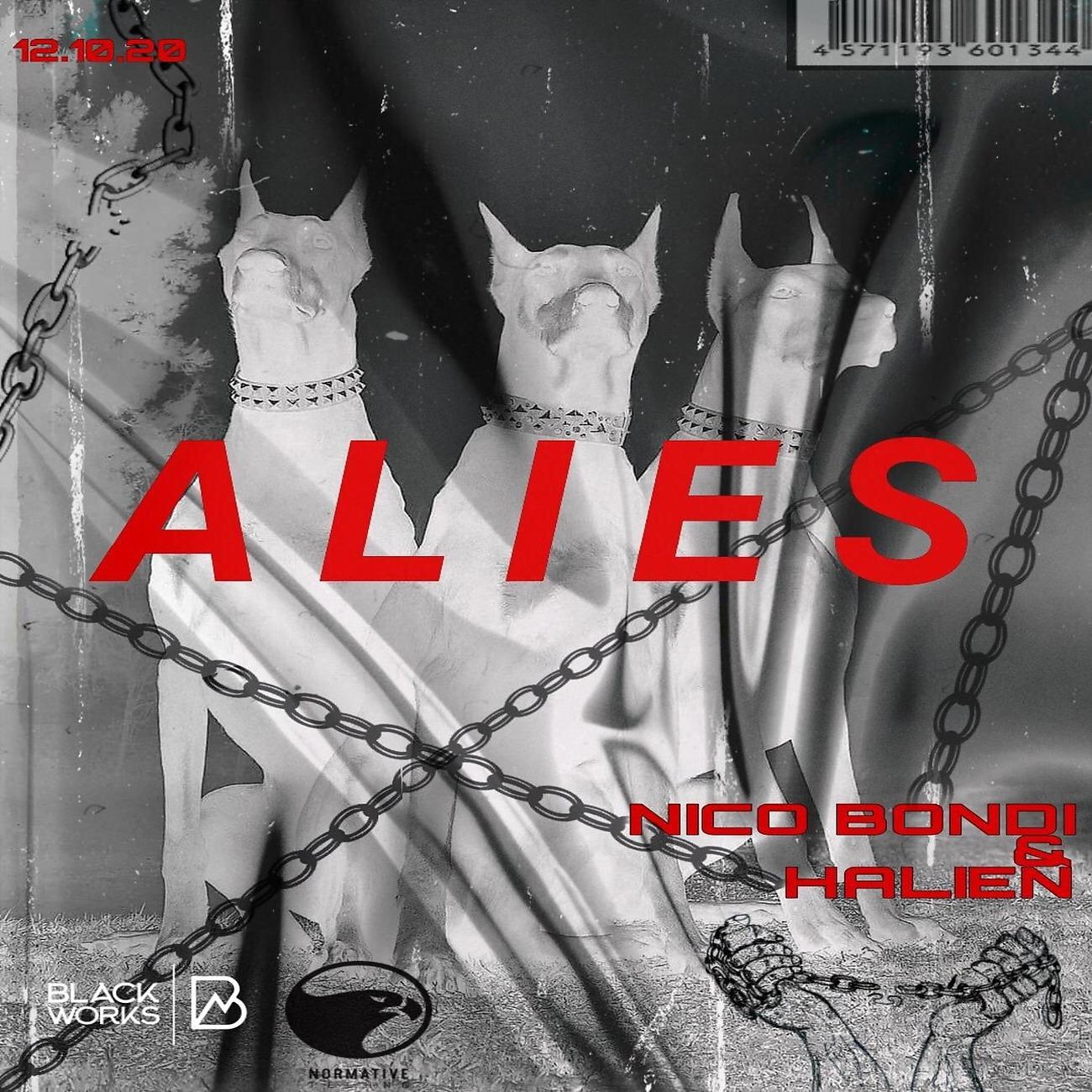 Постер альбома Alies