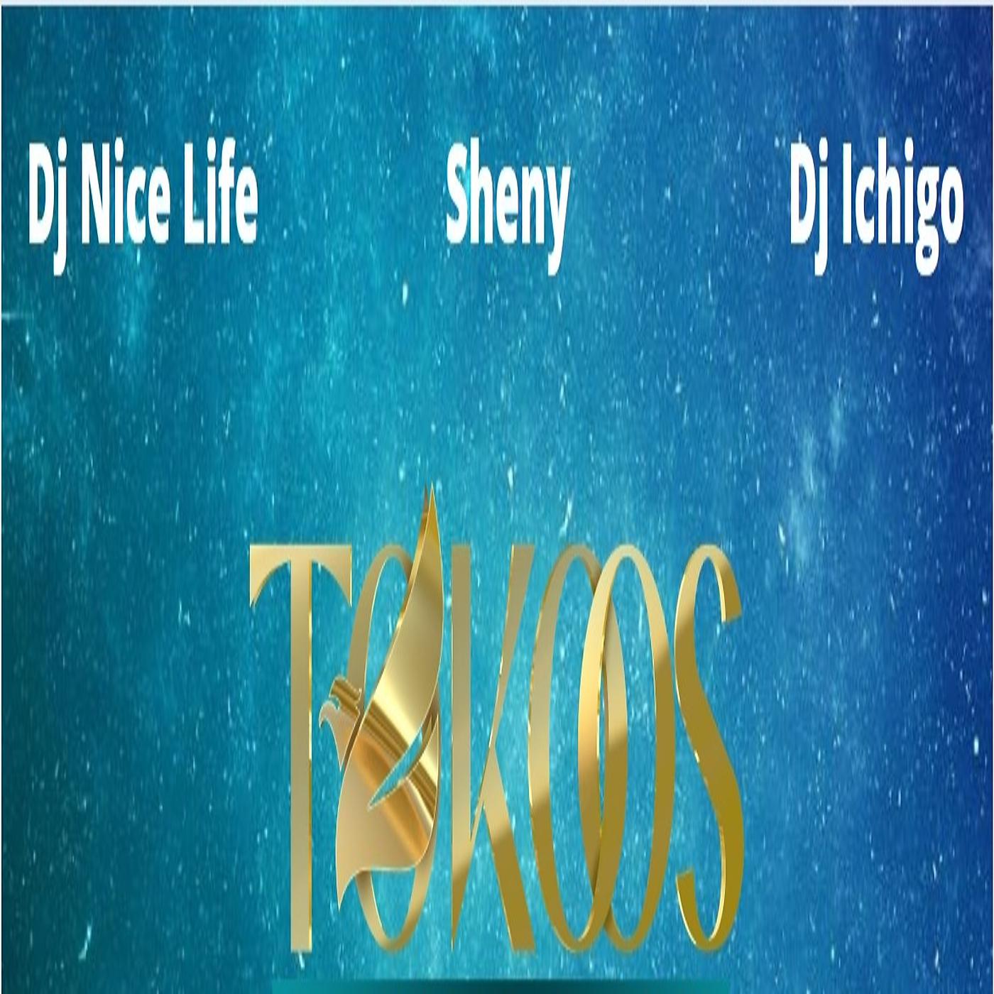 Постер альбома Tokoos