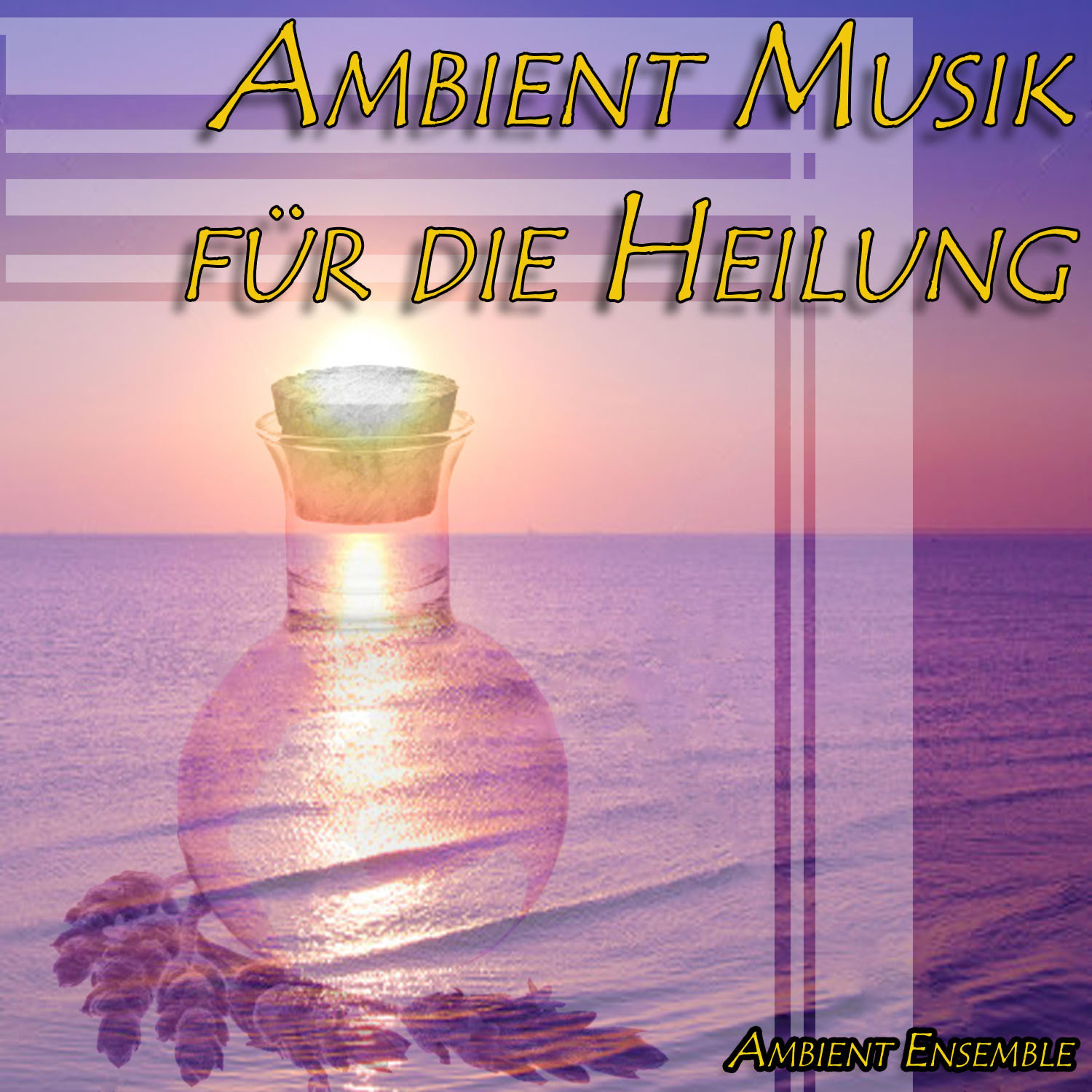 Постер альбома Ambient Musik für die Heilung