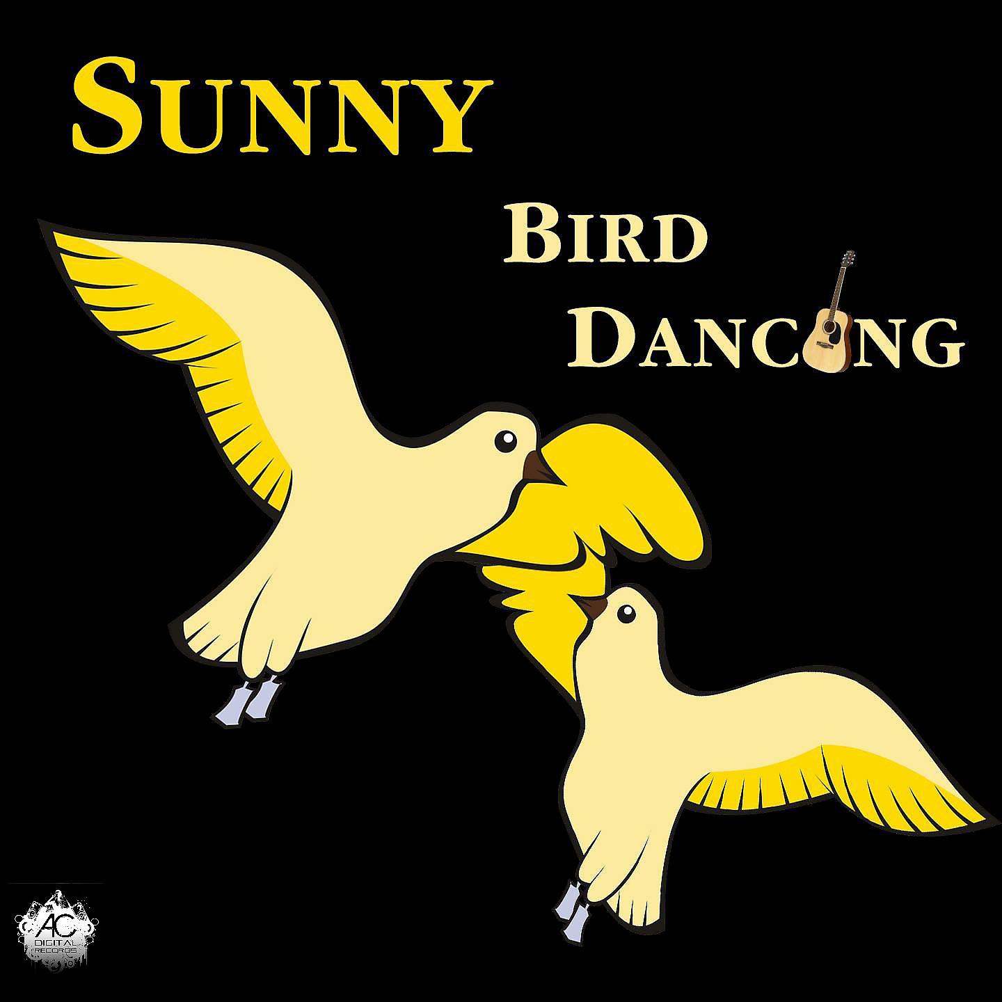 Постер альбома Bird dancing