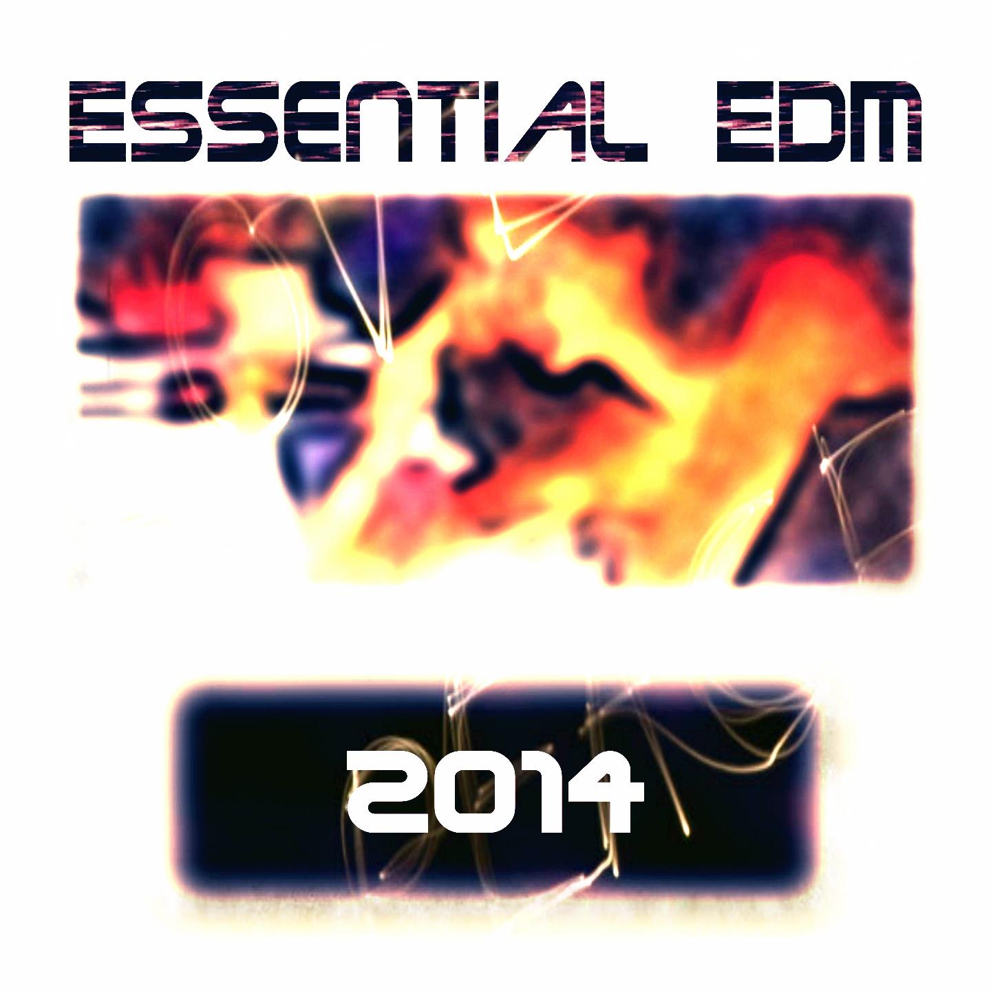 Постер альбома Essential EDM 2014