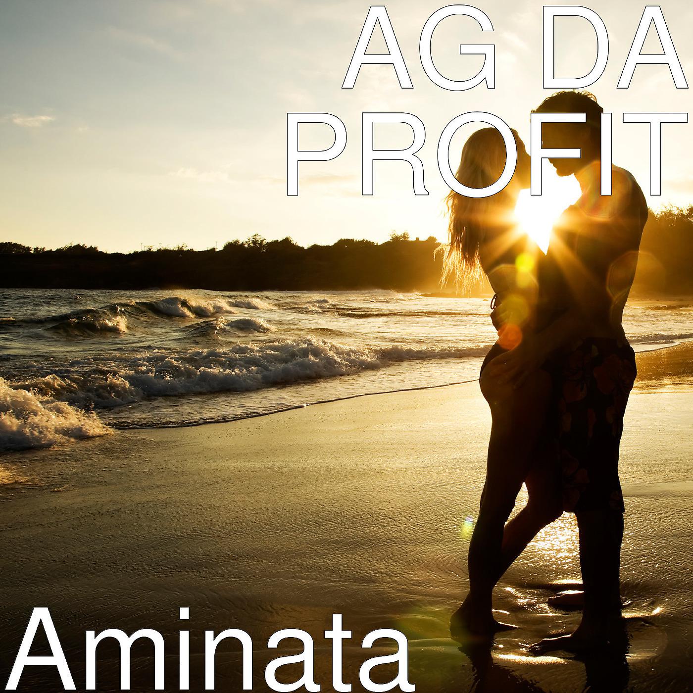 Постер альбома Aminata