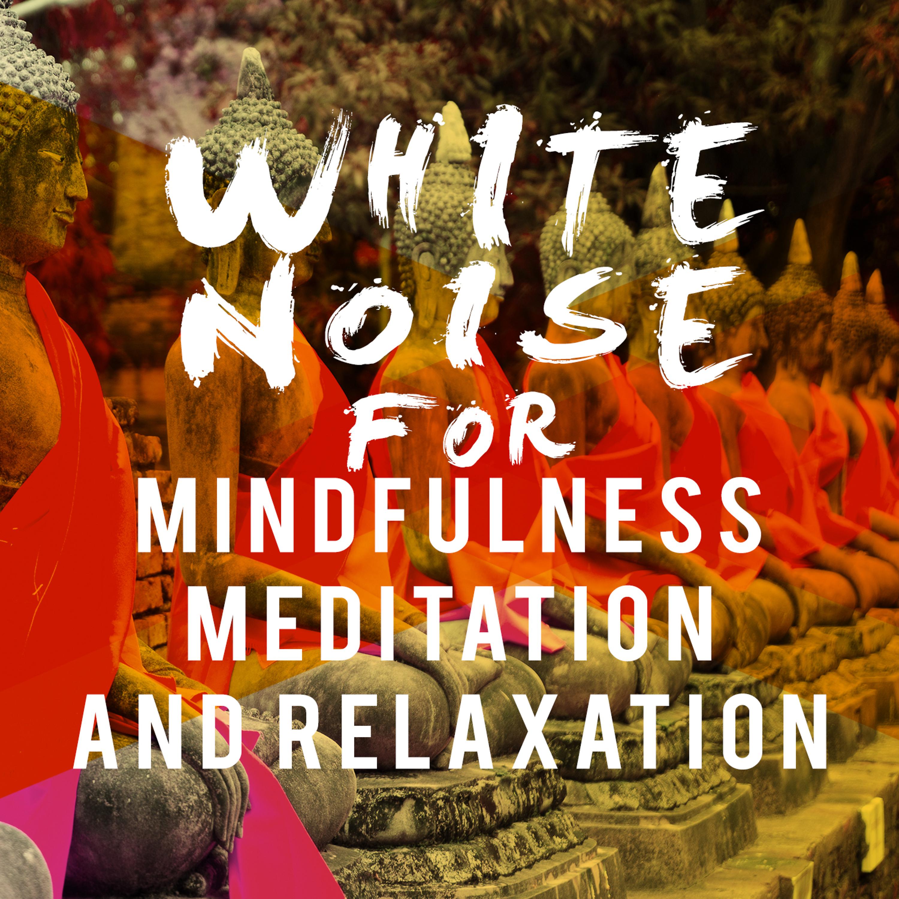 Постер альбома White Noise for Mindfulness Meditation and Relaxation
