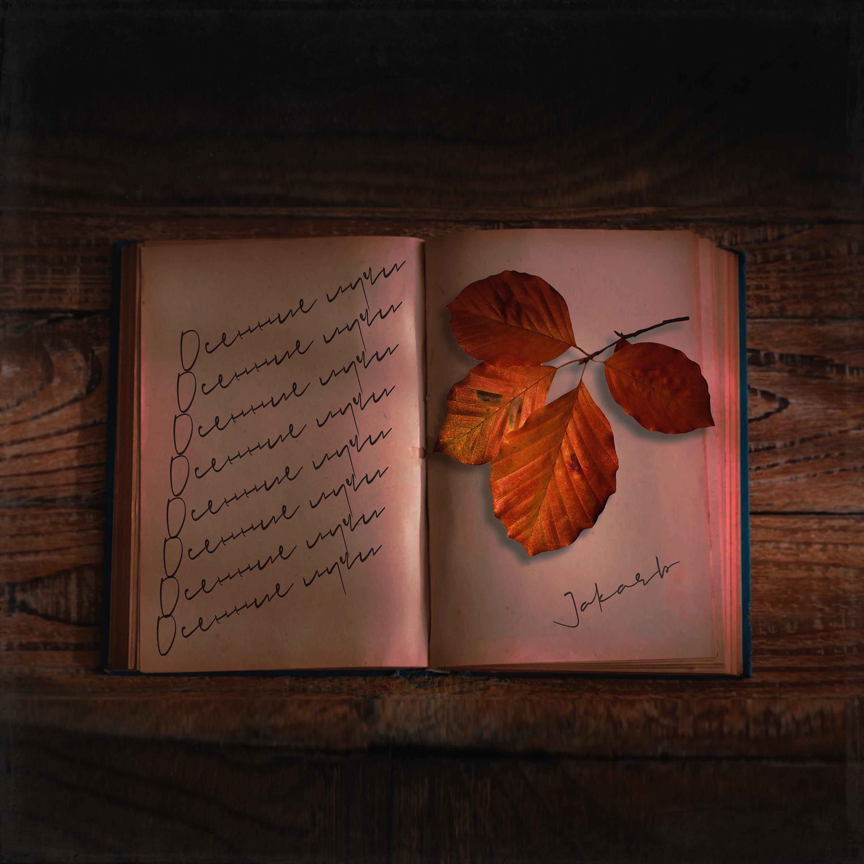 Постер альбома Осенние лучи