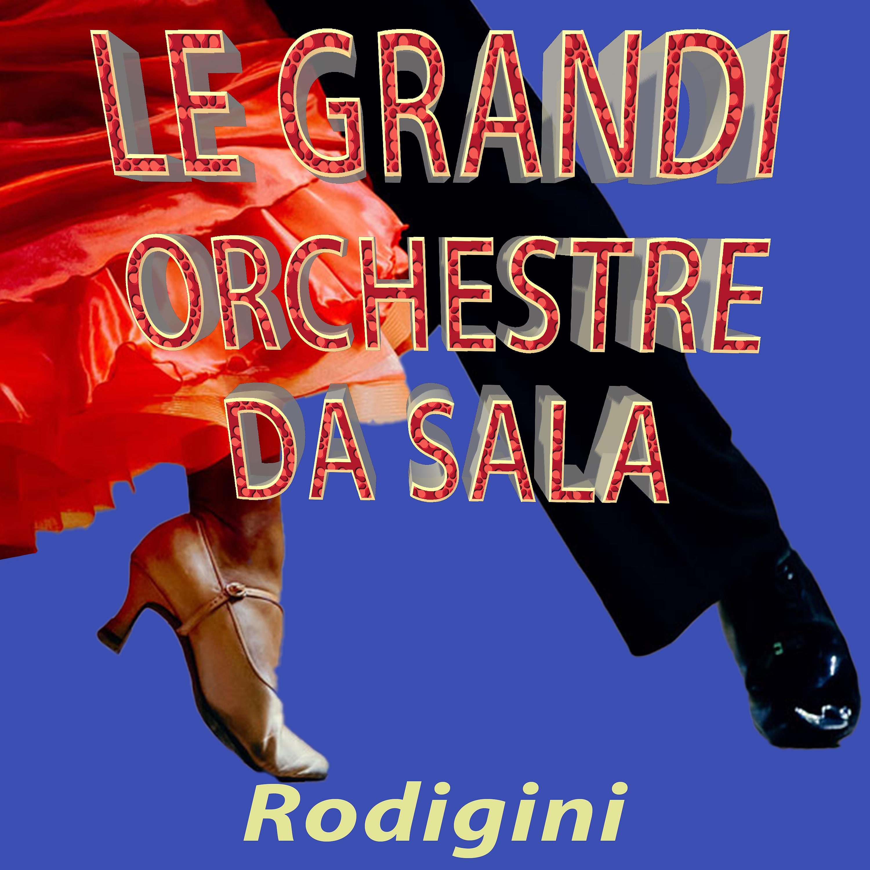 Постер альбома Le grandi orchestre da sala: I Rodigini