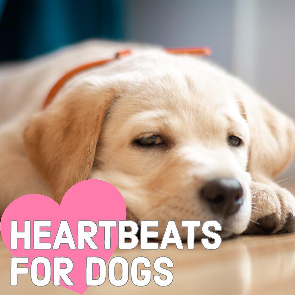 Постер альбома Heartbeats for Dogs (Womb Sounds for Puppies)