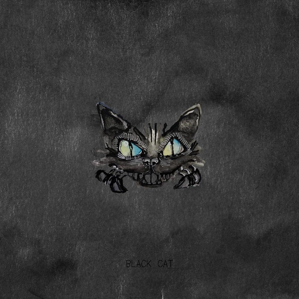 Постер альбома Black Cat