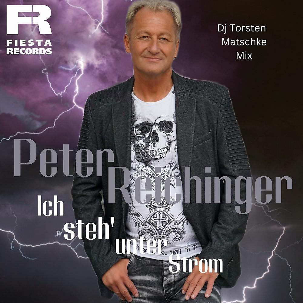 Постер альбома Ich steh unter Strom (DJ Torsten Matschke Mix)