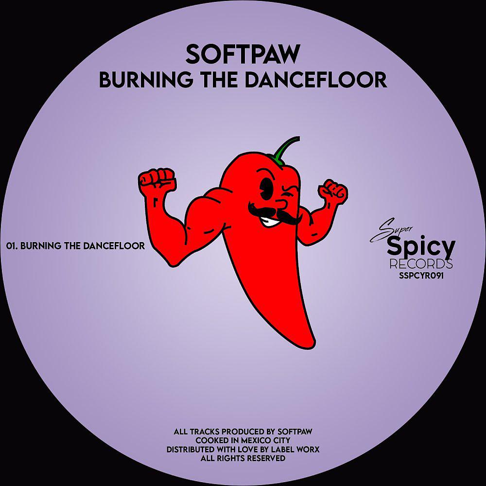 Постер альбома Burning The Dancefloor