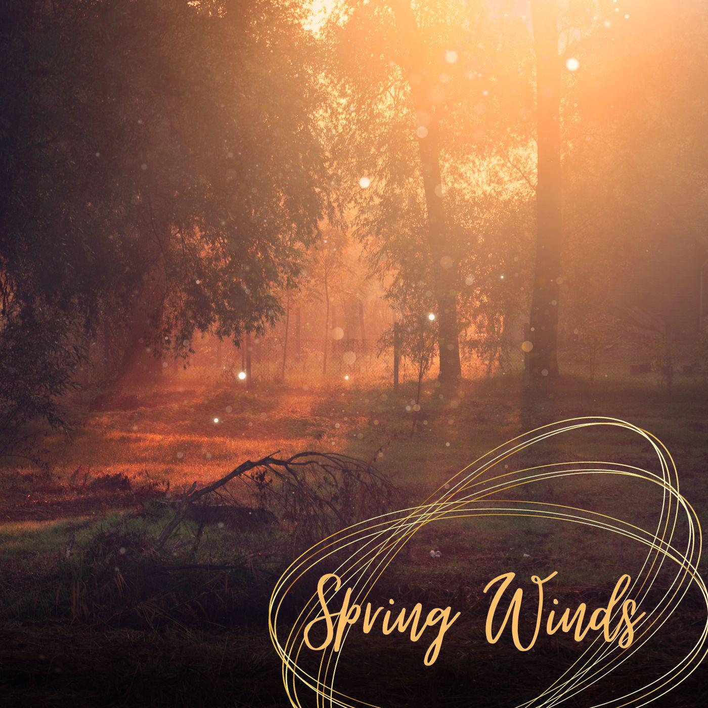Постер альбома Spring winds
