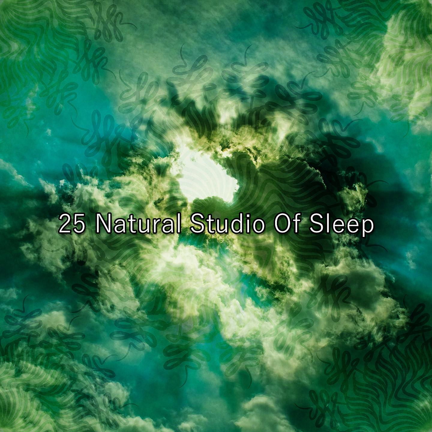 Постер альбома 25 натуральная студия сна