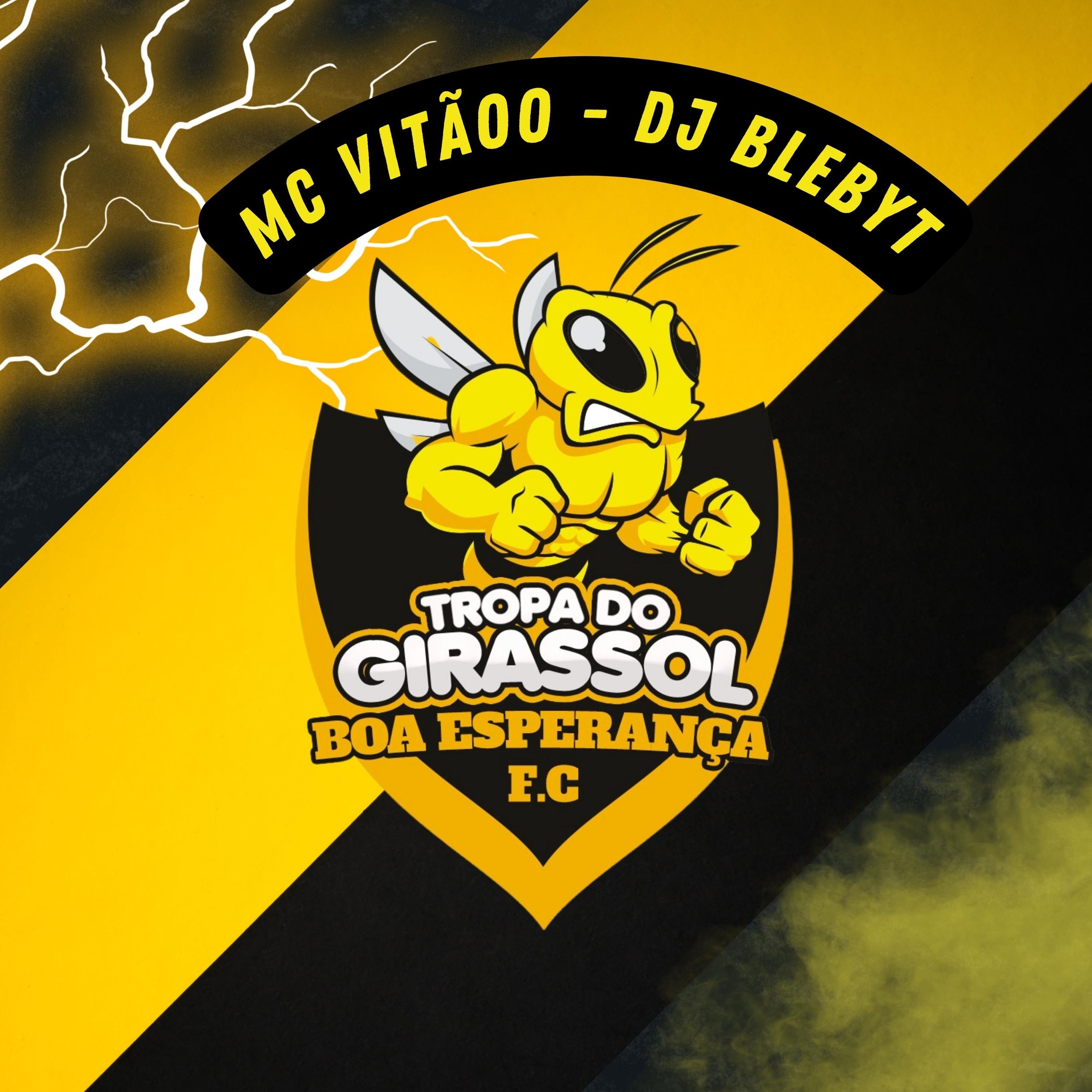 Постер альбома Tropa do Girassol