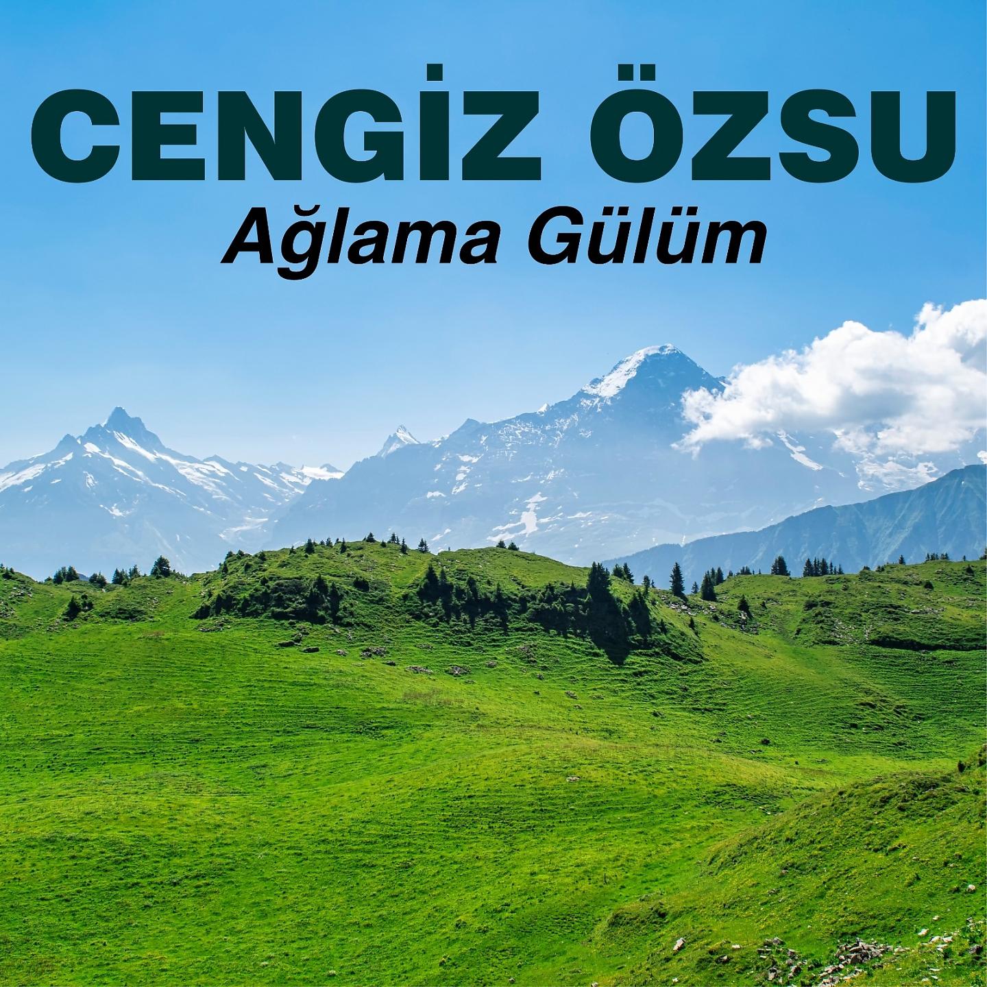 Постер альбома Ağlama Gülüm