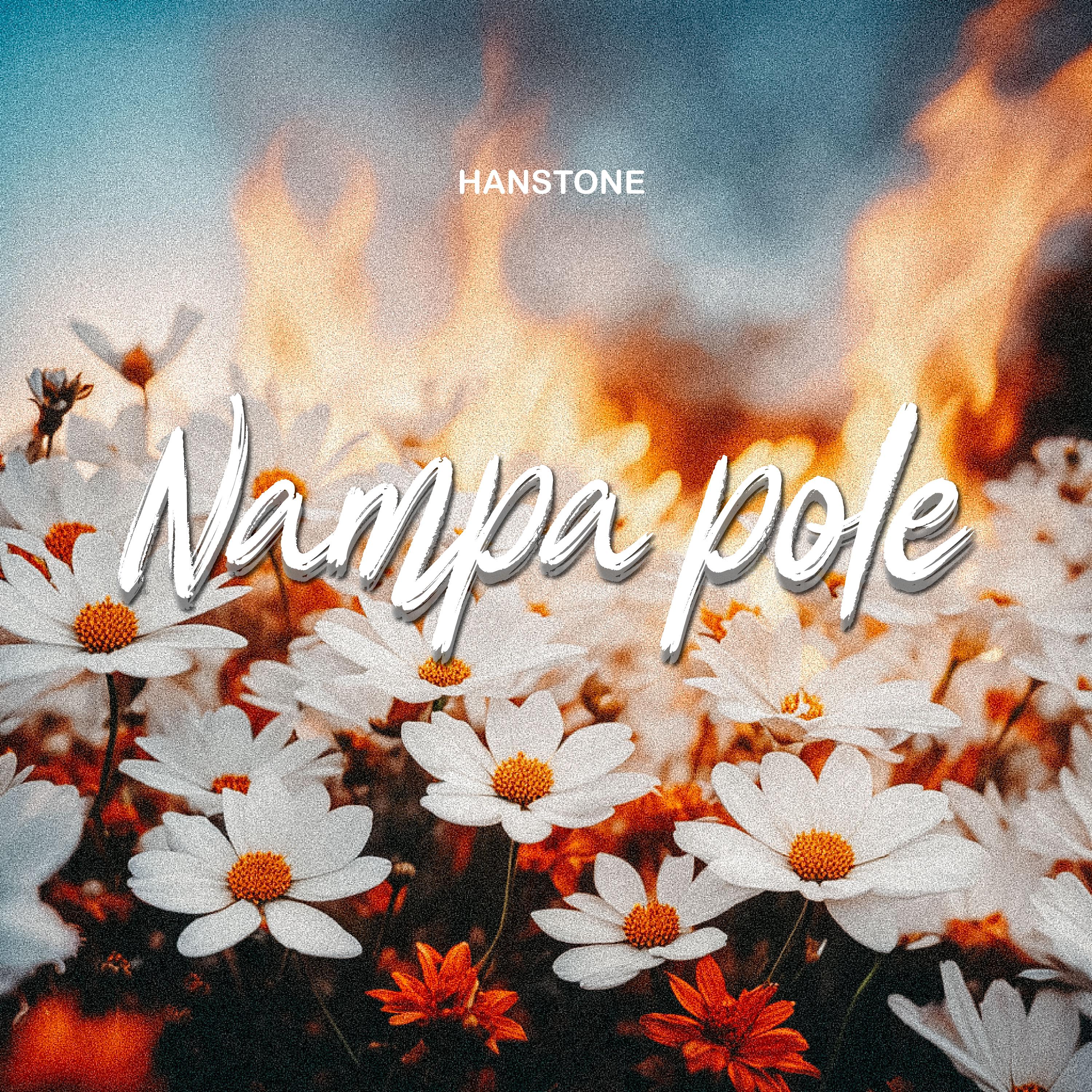 Постер альбома Nampa Pole