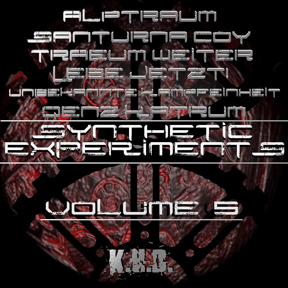 Постер альбома Synthetic Experiments, Vol. 5
