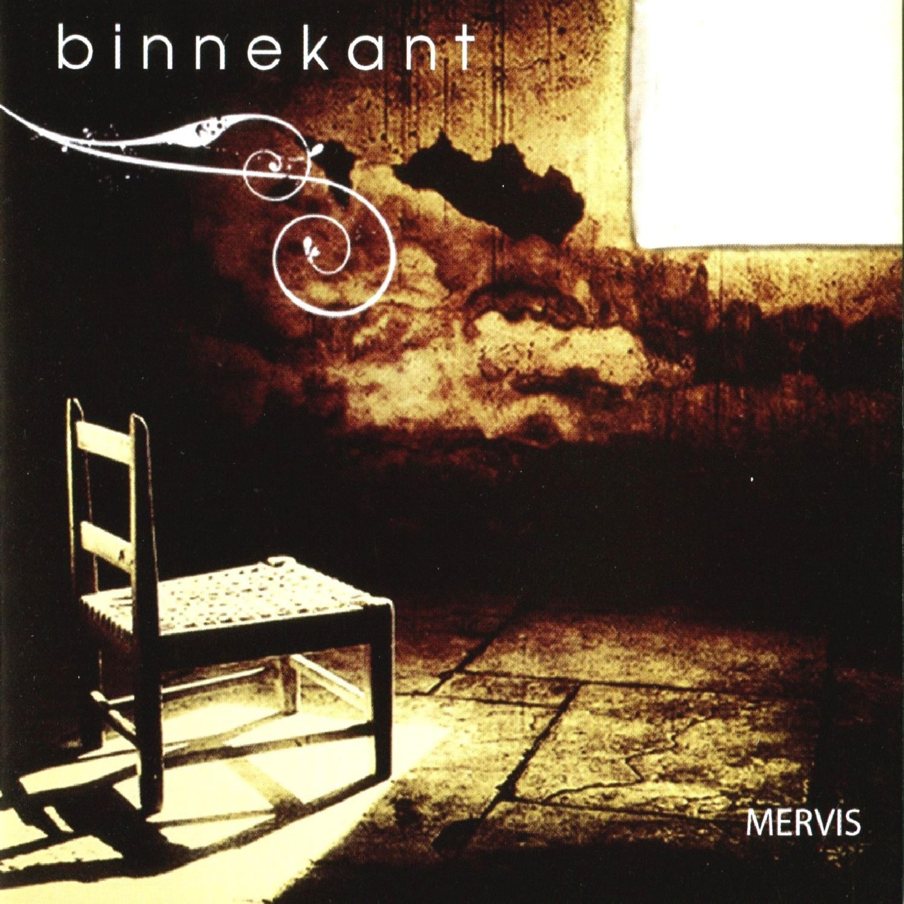 Постер альбома Binnekant